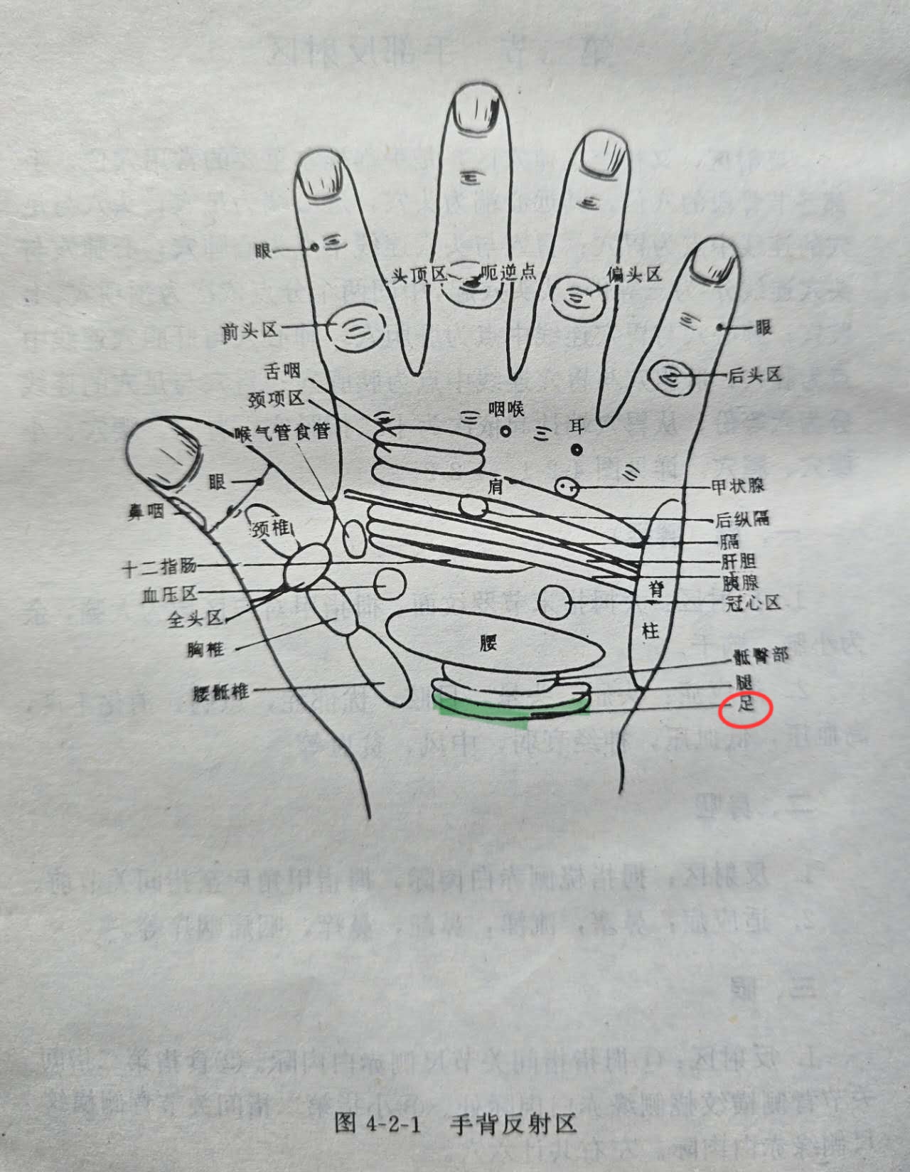 35682b43133a0b22b7a21c385931822.jpg
