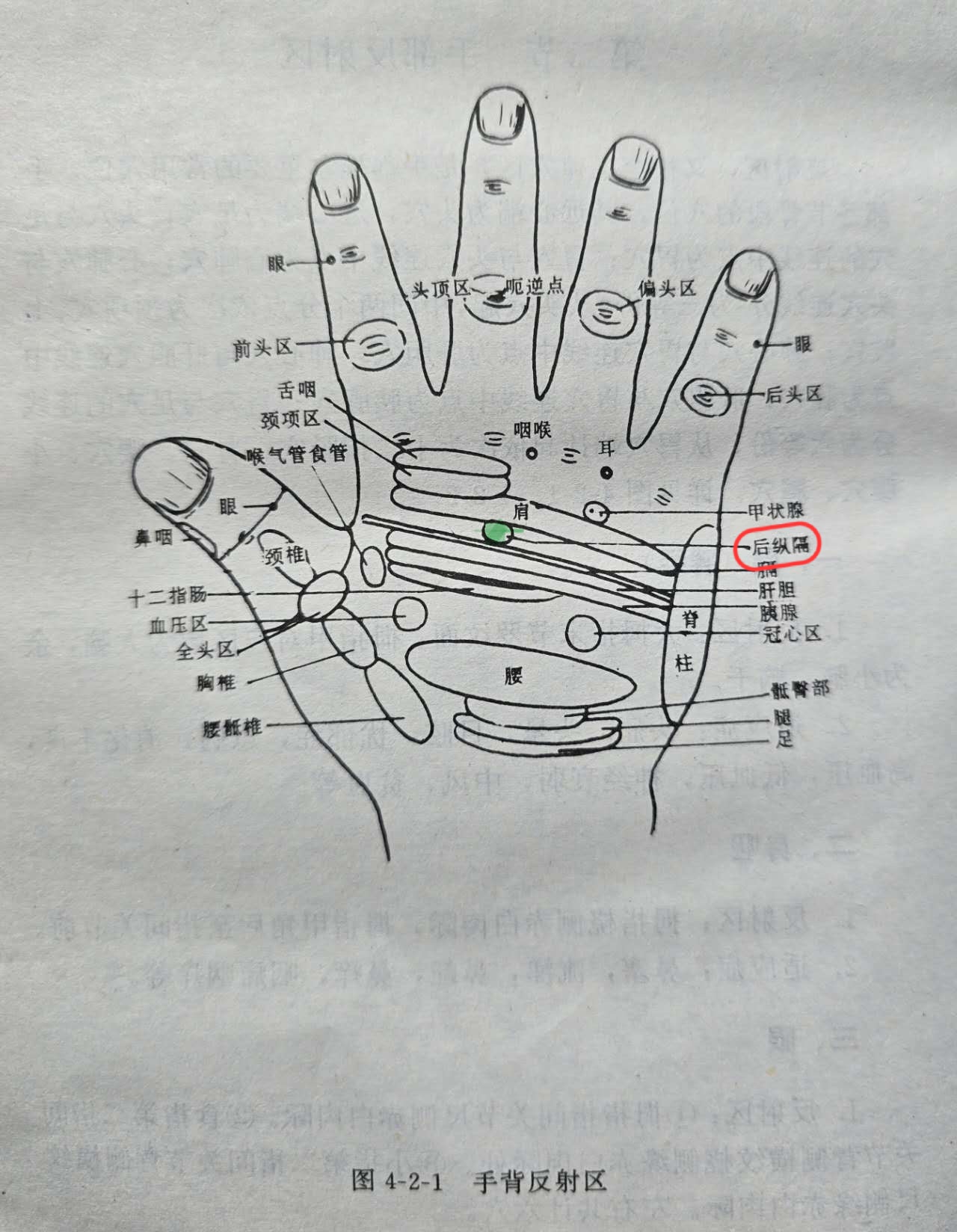 ce5fa1abbe6e74aa649fc6e23d8485b.jpg