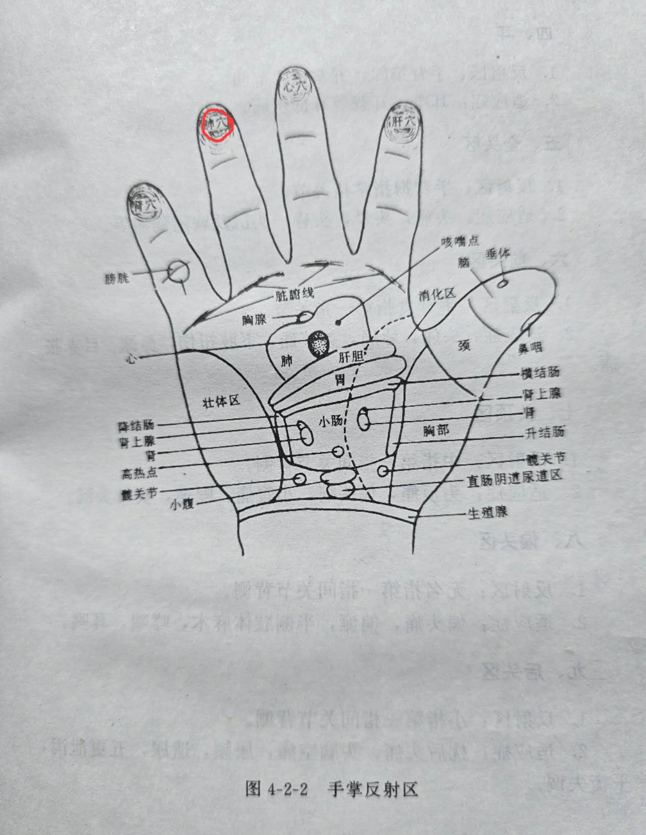 bb75dd327a5ccf47b05c1ffc4437955.jpg