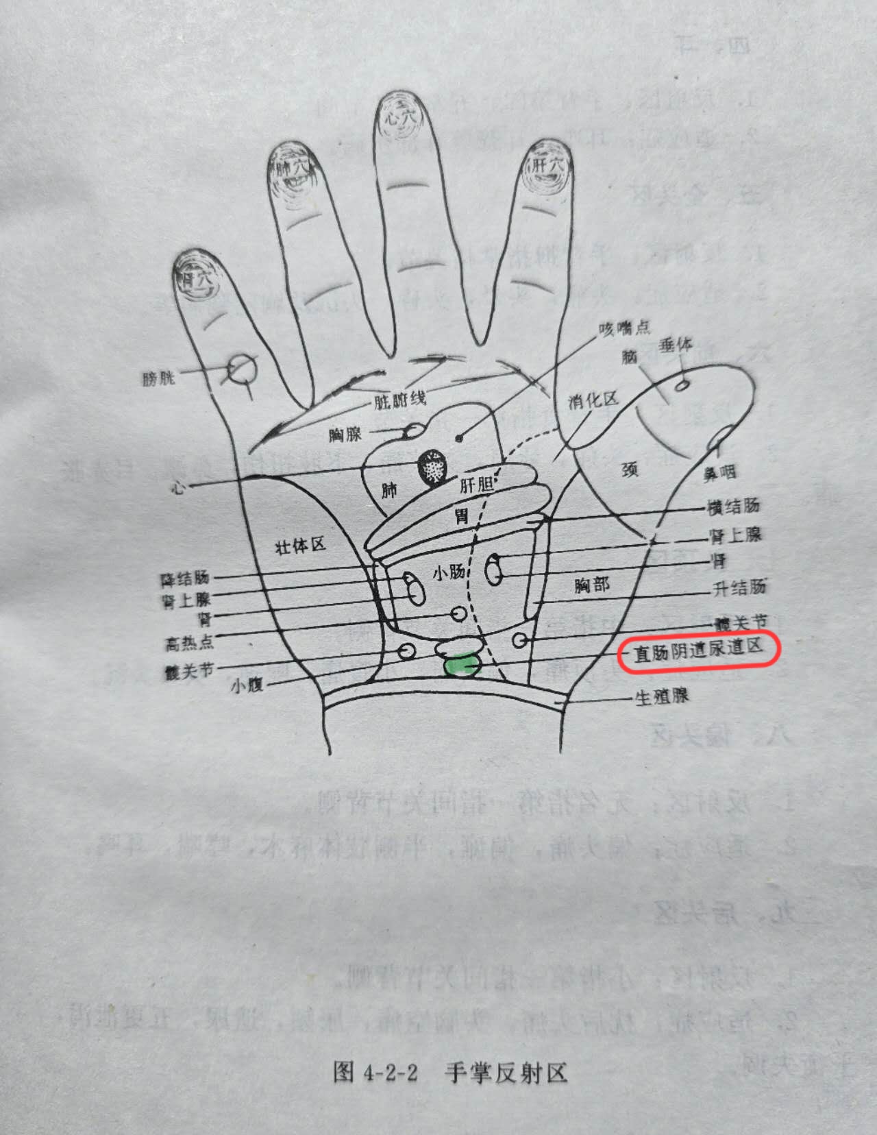 0f03e8fc6f2d63dacaf056f1b1aec66.jpg