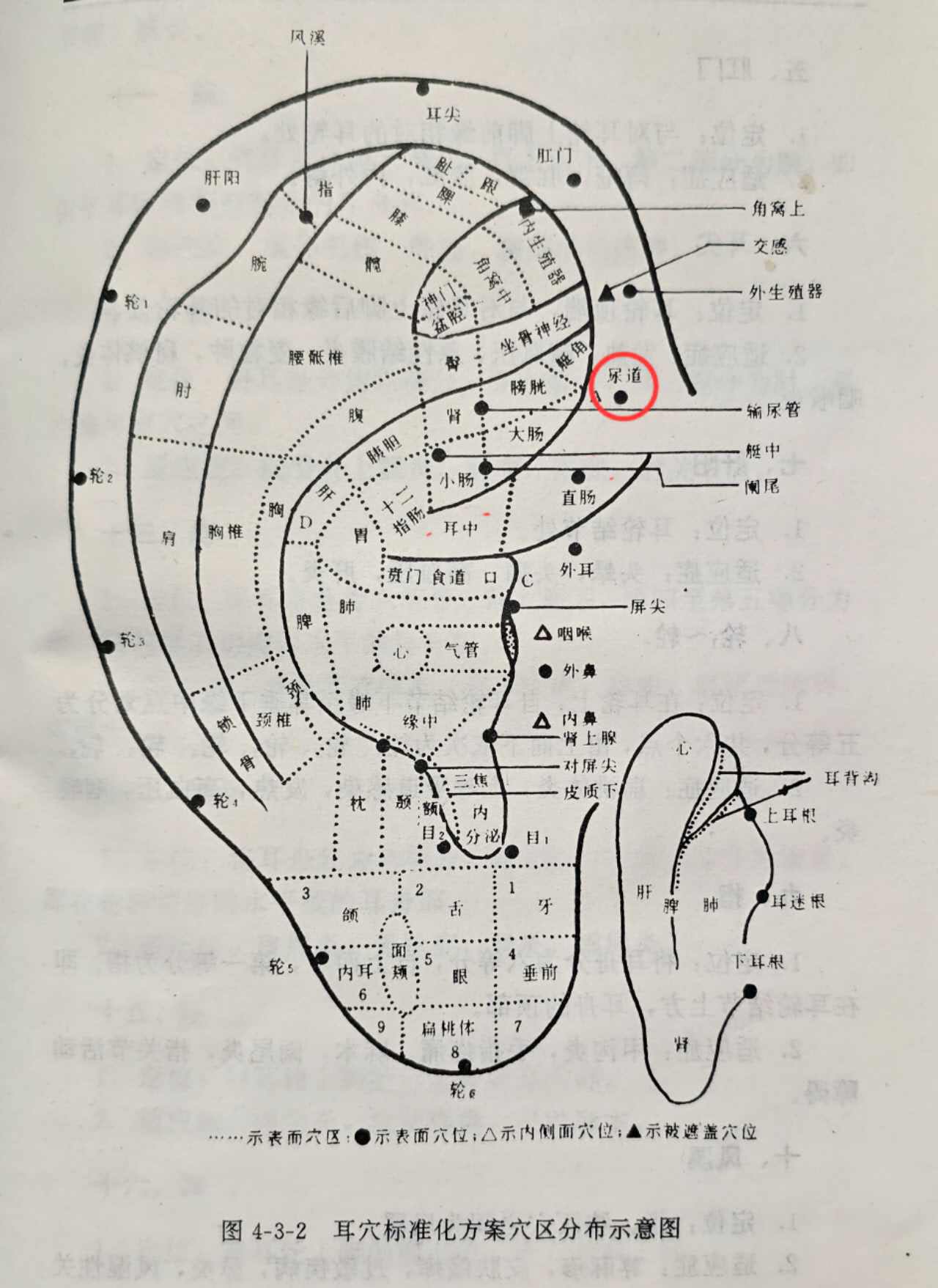 1b7719f6bc9ca76d93eabbf8047ac57.jpg