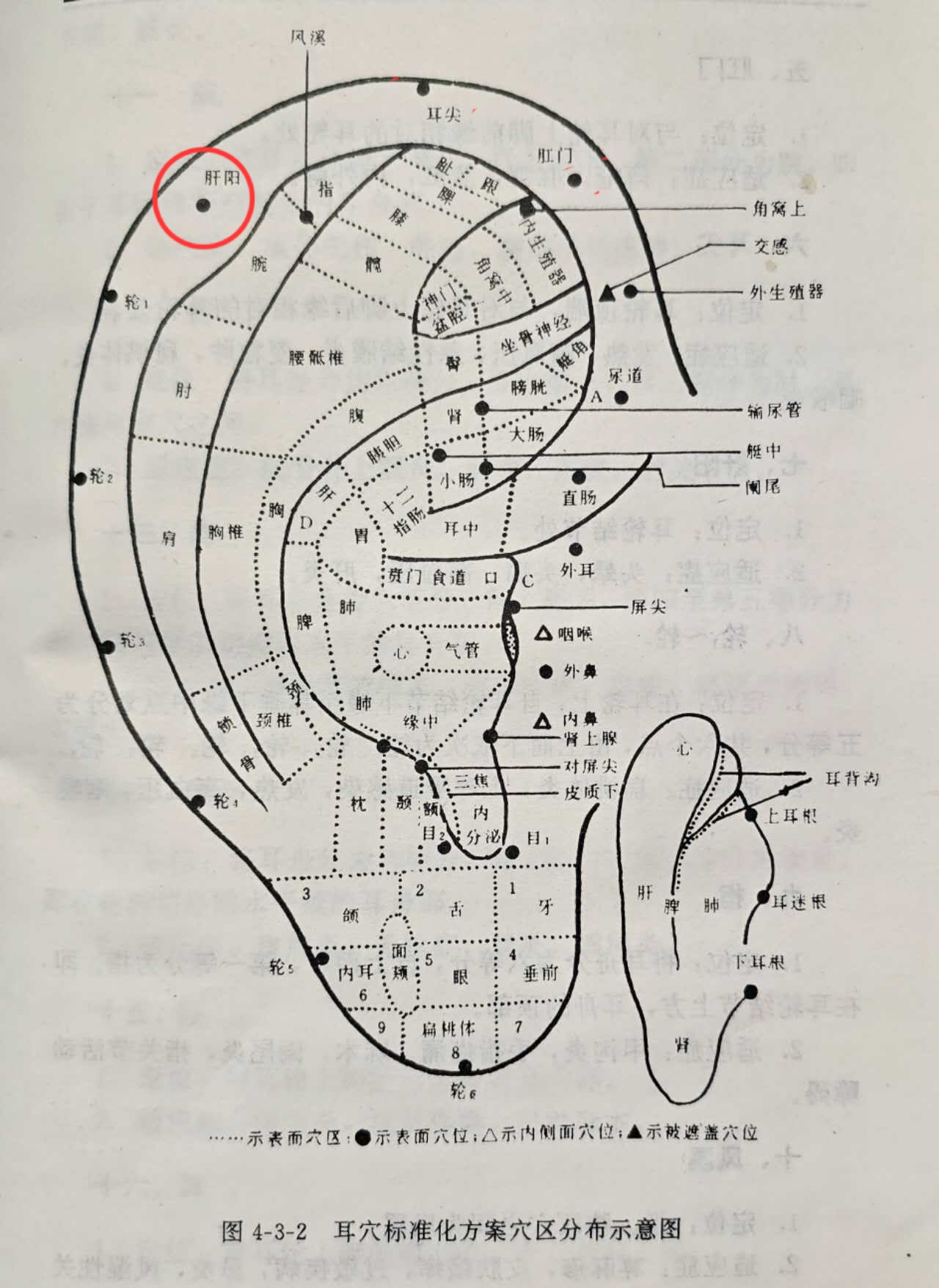 ad1cdf56caa8f0005331c7e0b53fbb1.jpg