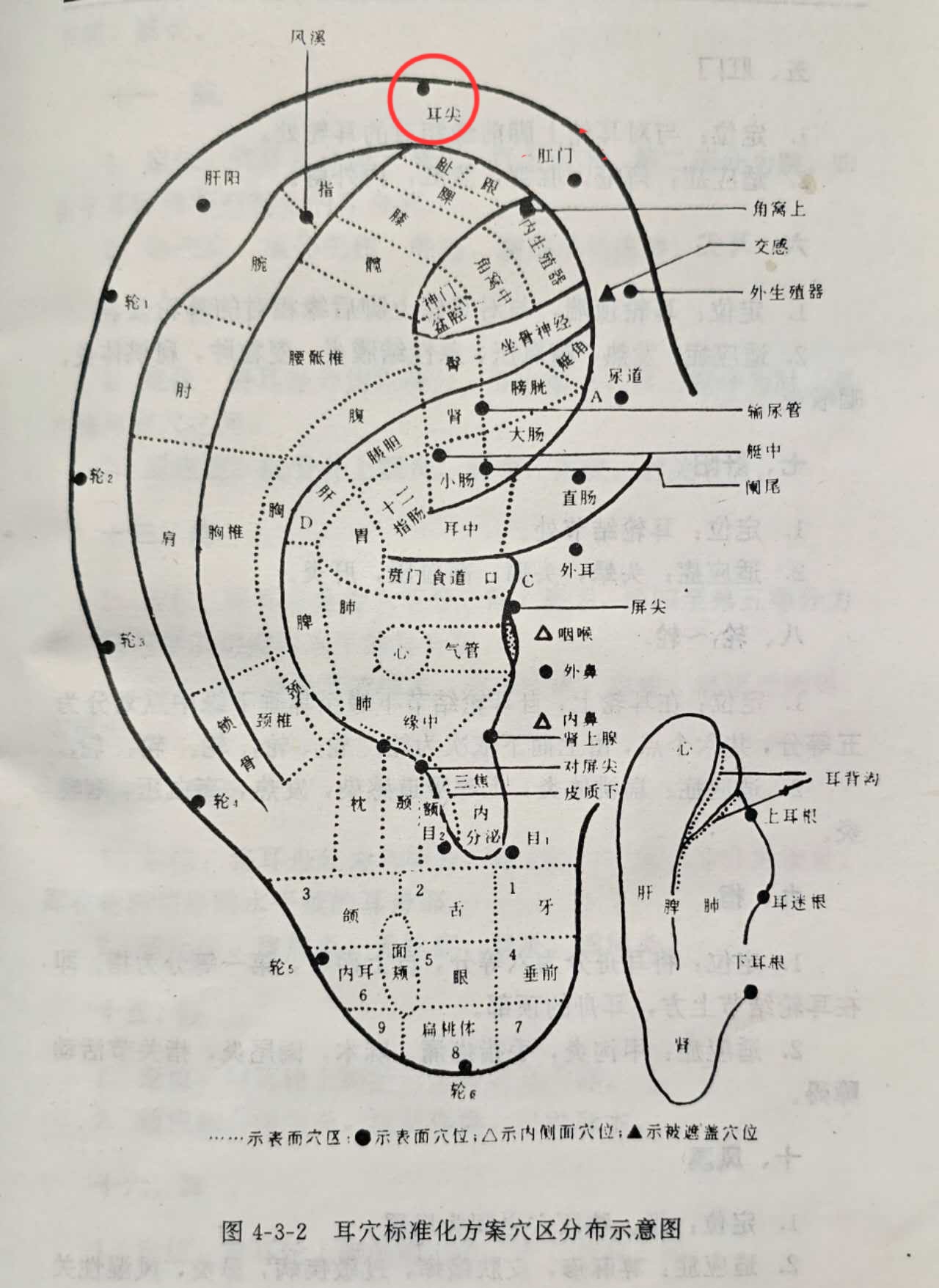 79f197c86c9aca3c6c8c193bd919afb.jpg
