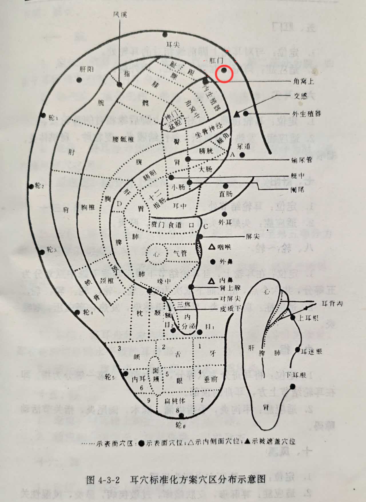2deba377d6d0c4d5c6cff7ab33d3f37.jpg