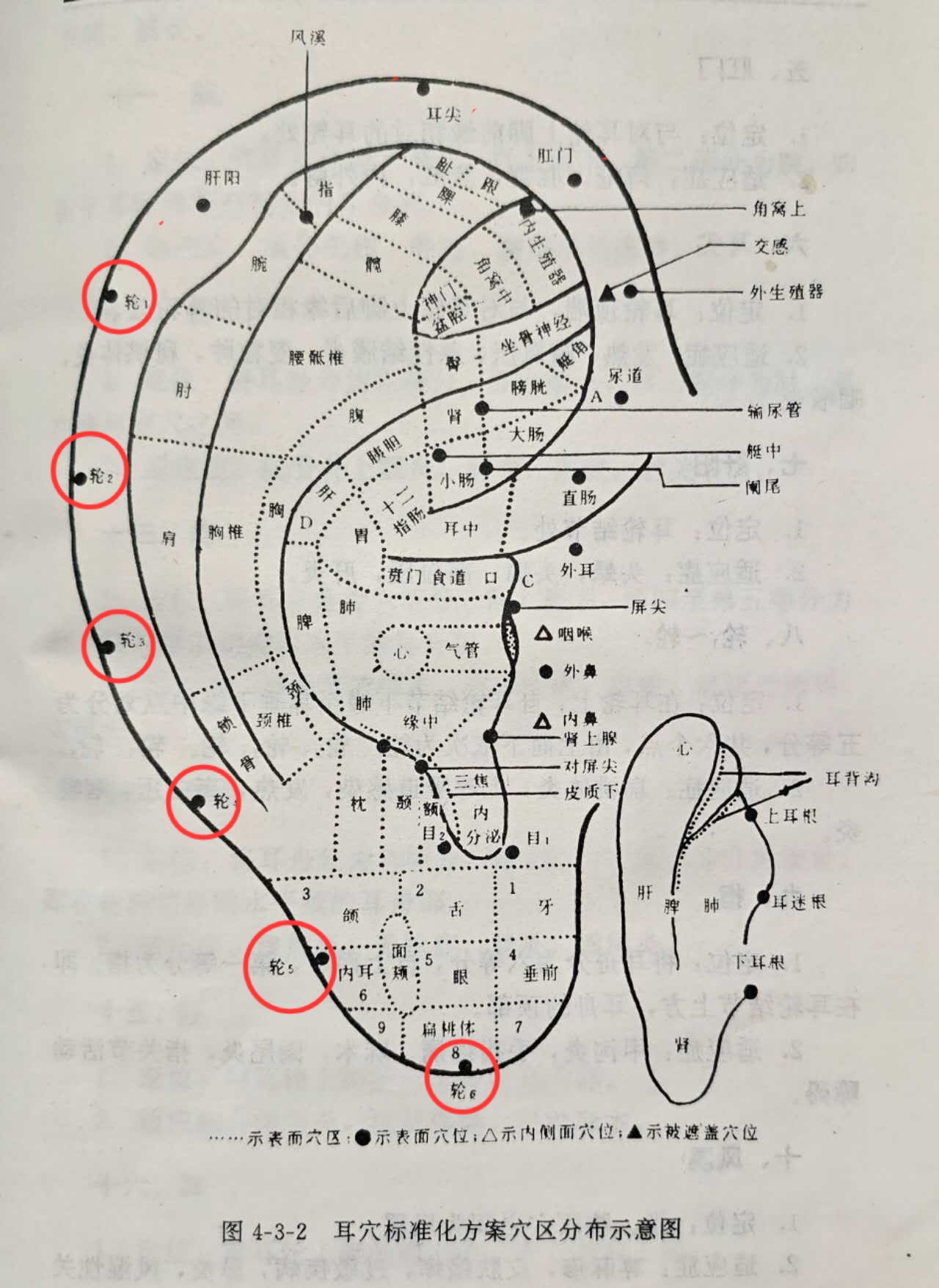 f86da4cedcee6a3b48f6eefd18ab58b.jpg