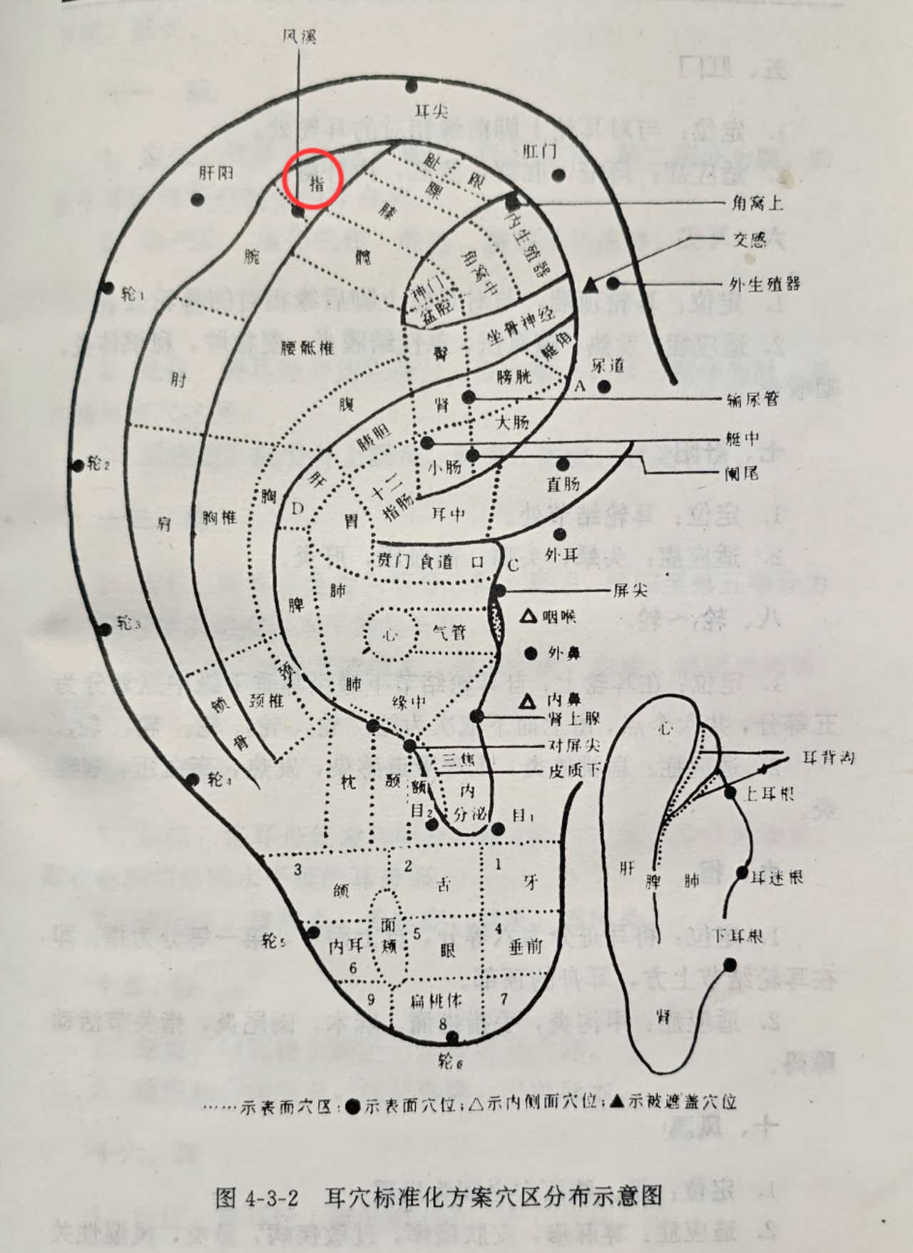 f25a05fd8cef5bd86a07670cf7bf4da.jpg