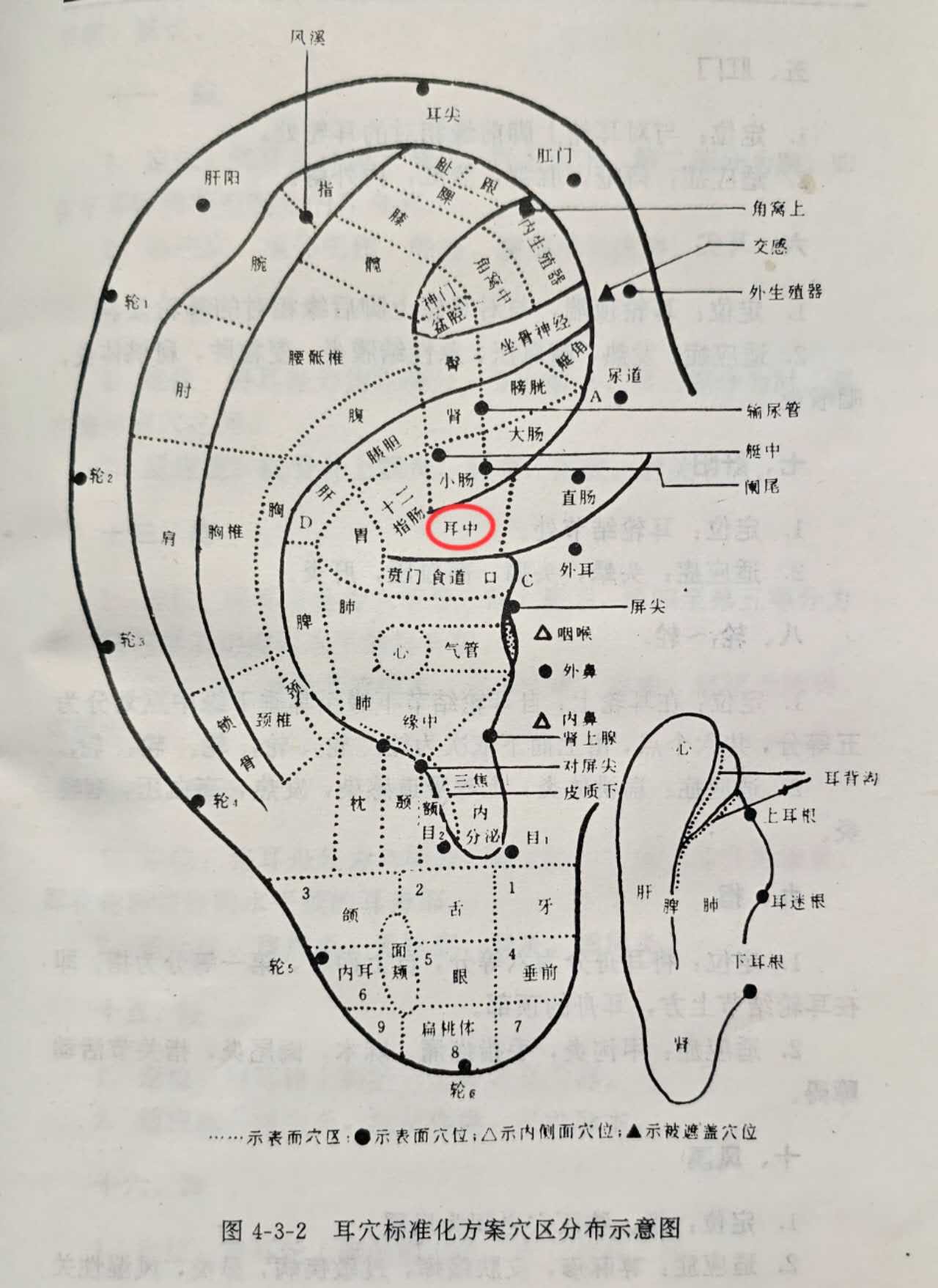 af4b97d08070ada618b31dd614118ba.jpg