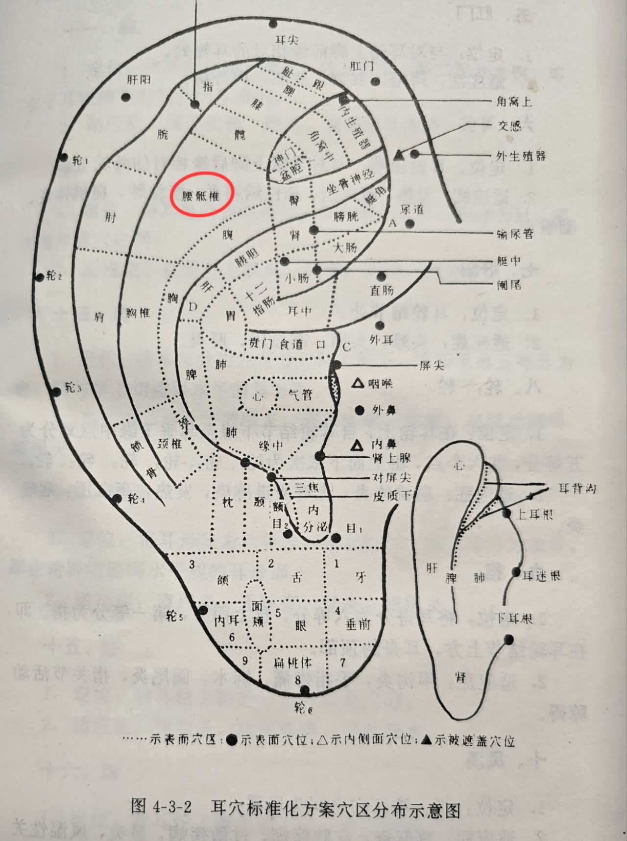 8511c6b89209626eaf31adb040ca9fe.jpg