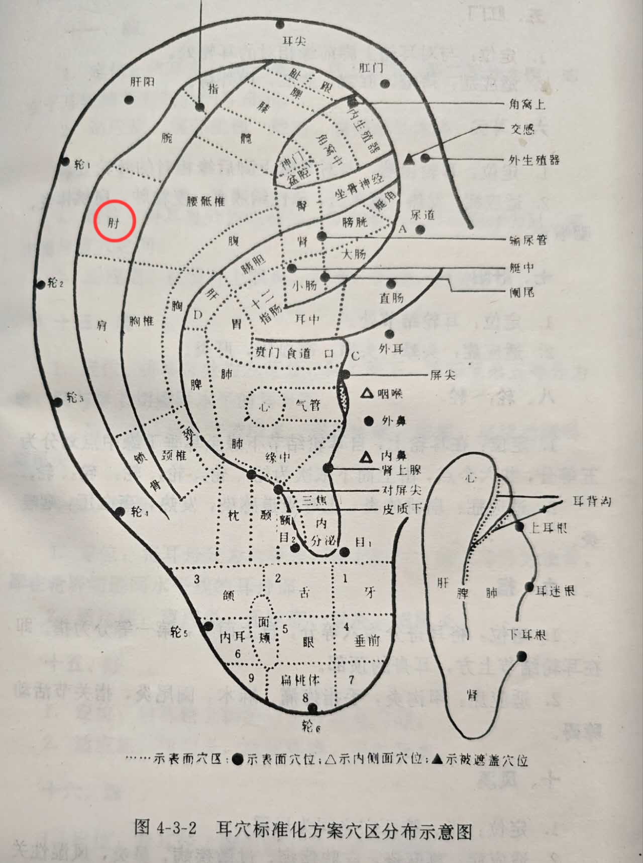b5fa89ac6a354ff2be601db2b66268c.jpg