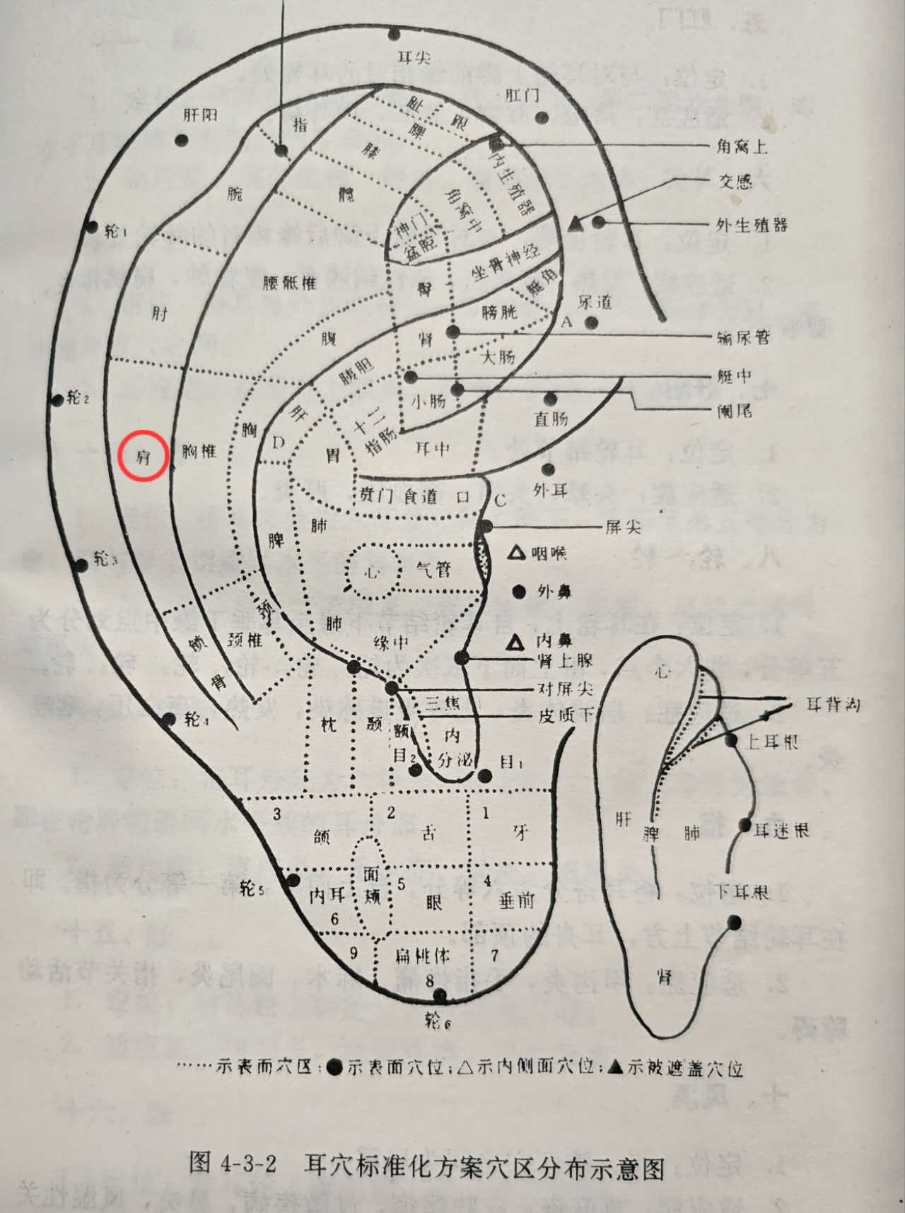 59e208884c6f10f5ed2bf7213f03e50.jpg