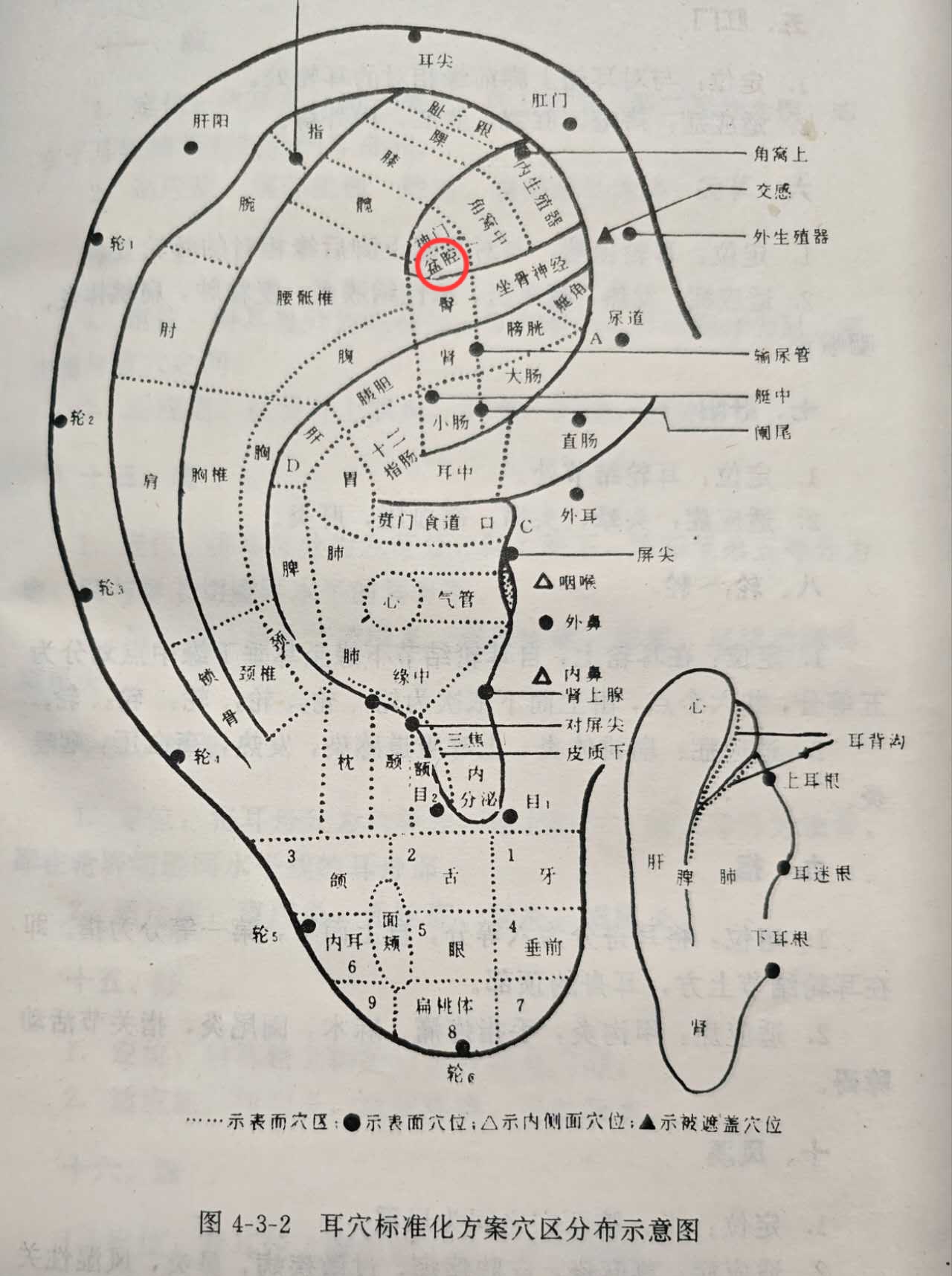 2891a45e8c4e002d508423748ae4457.jpg