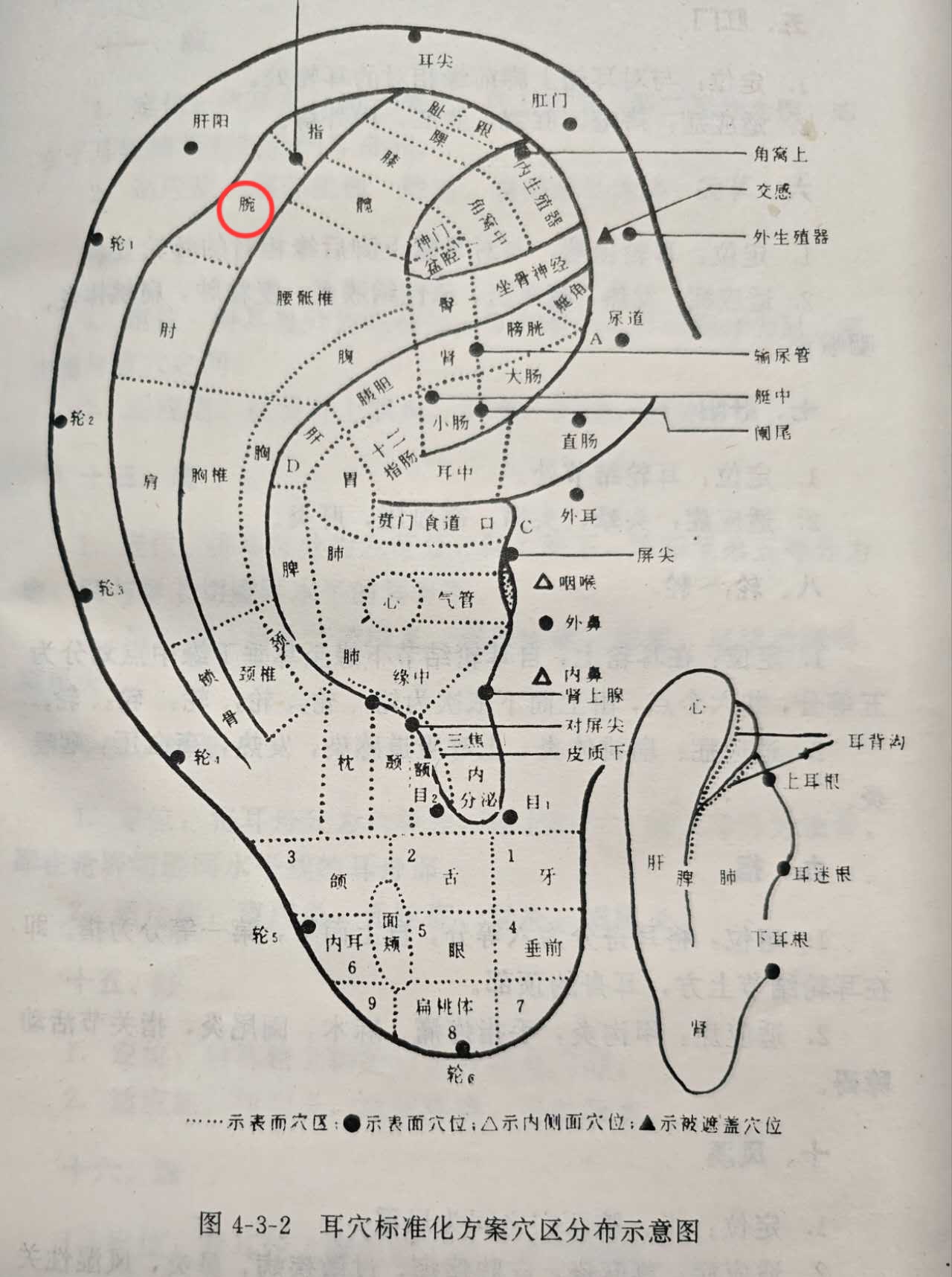 93c99d029612dbc3baaa94df19fcac9.jpg