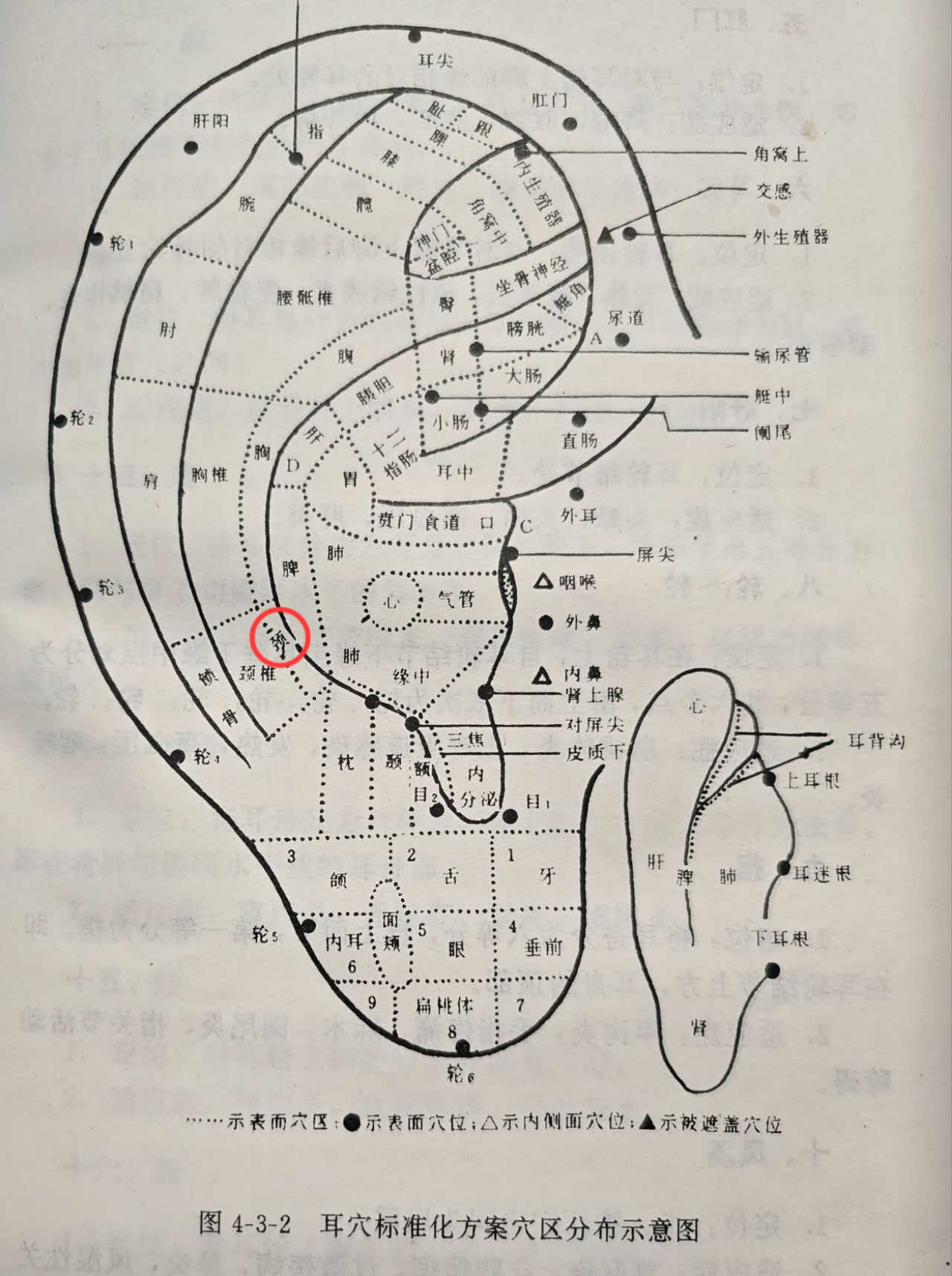 77b5797b6514acd184e2dd127fc6dfb.jpg