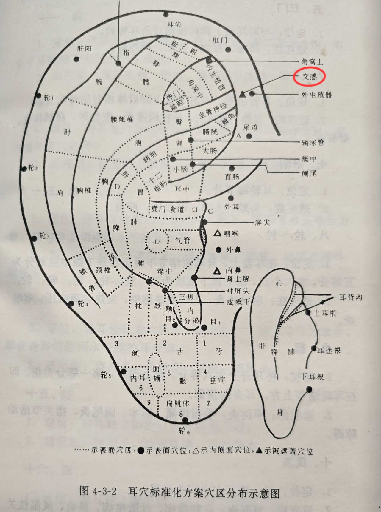 c5cf73f5802406fda84d8197c6d7ab0.jpg