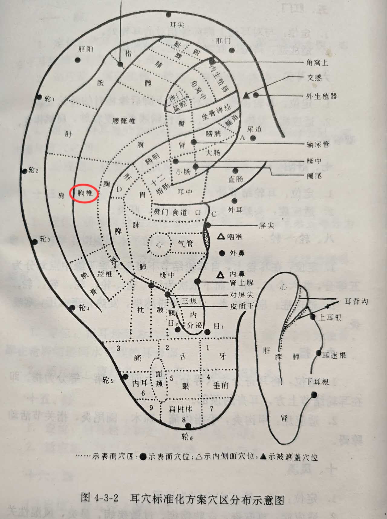 c2bd46c8bda3ca37d395ac3d0fcc968.jpg