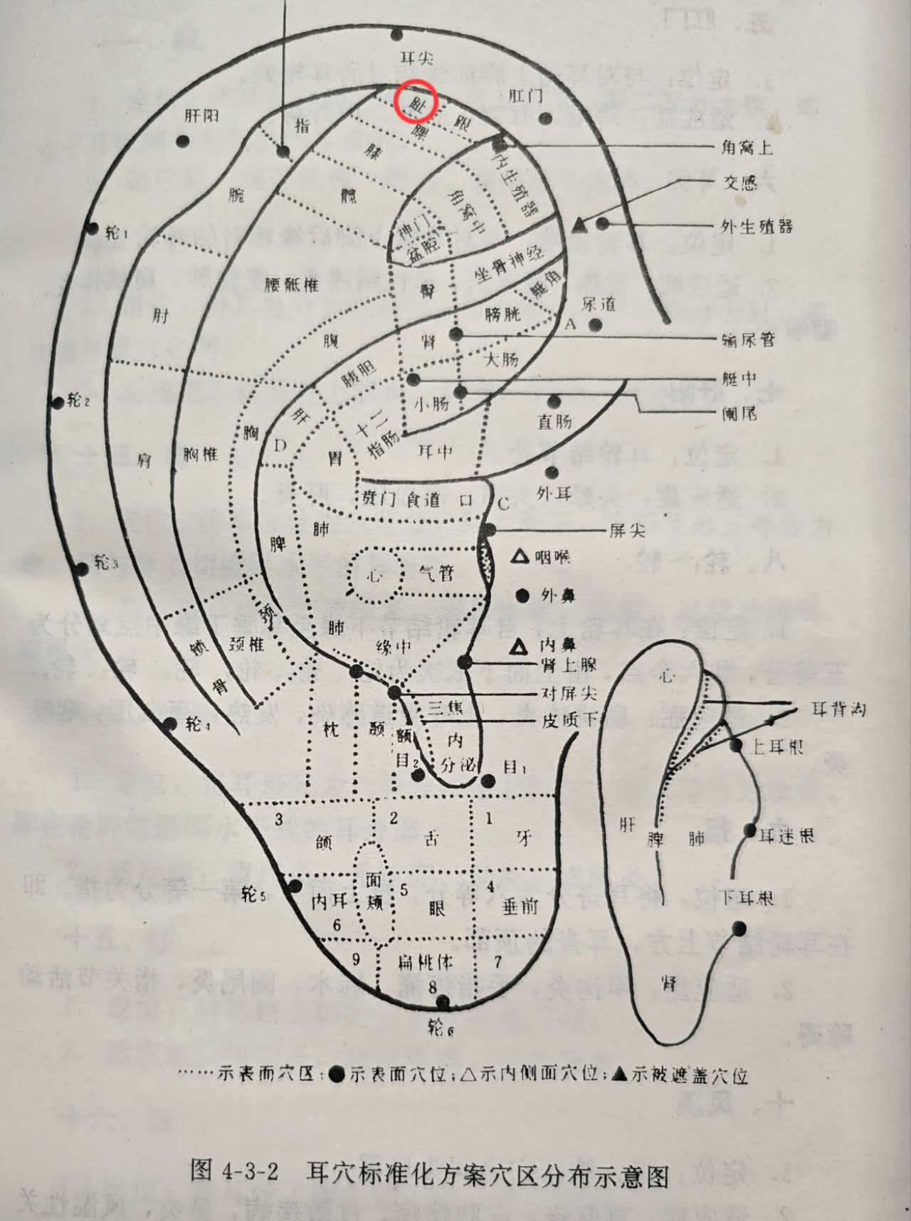 8f062113ff0a954b6e31aa7f54b6679.jpg