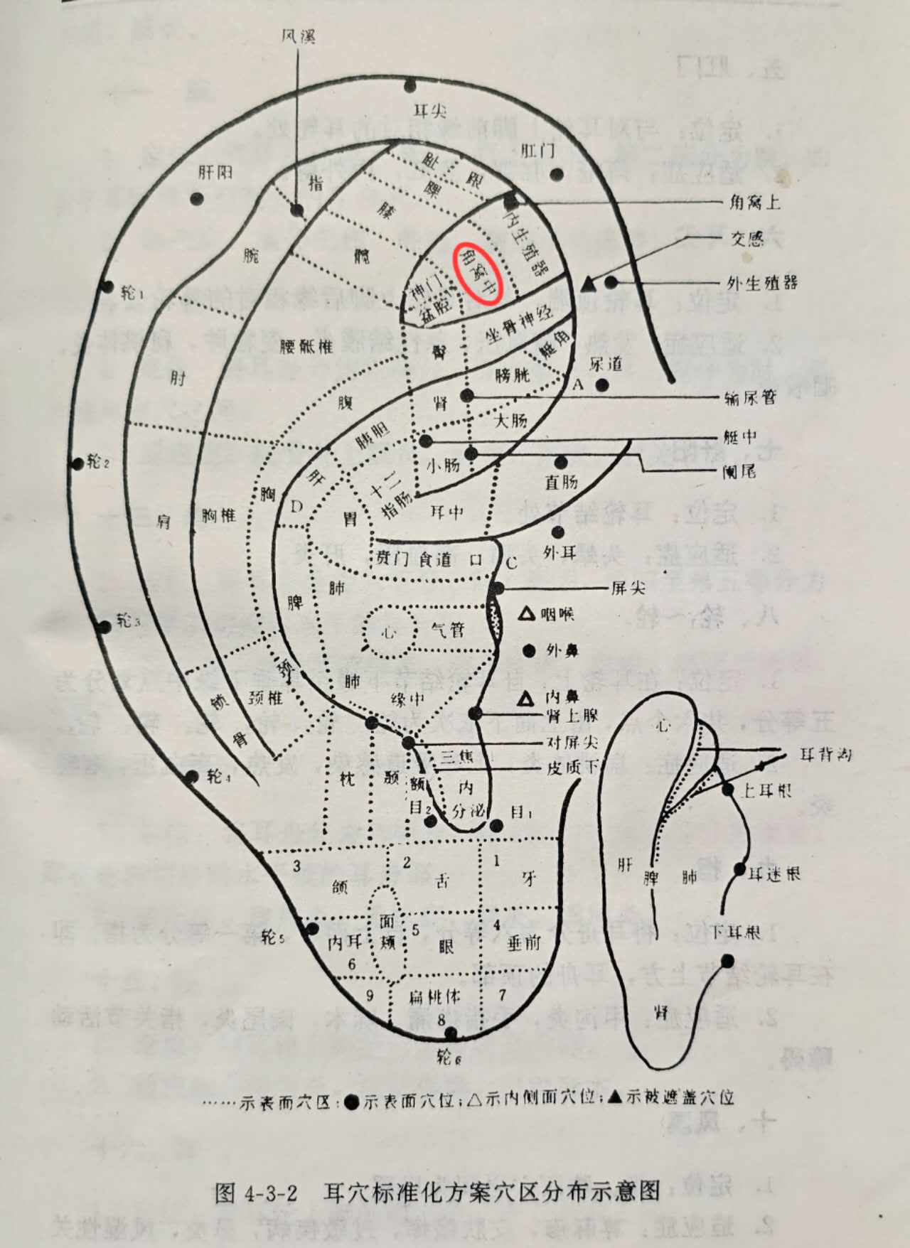 23e8f7402fe7e36e512ce2177f9e7f1.jpg