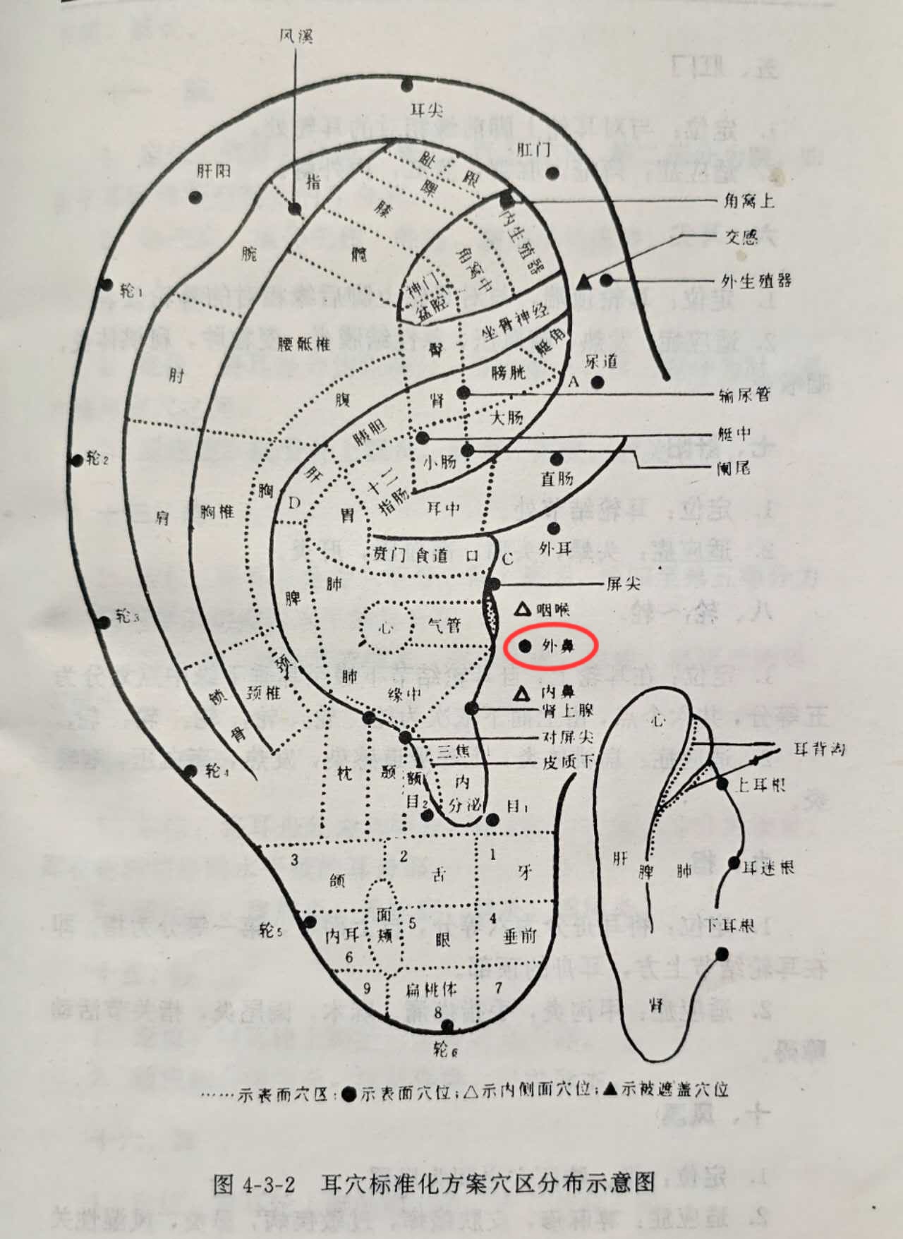 d3d68f94e48251a9cce79ce509e828c.jpg