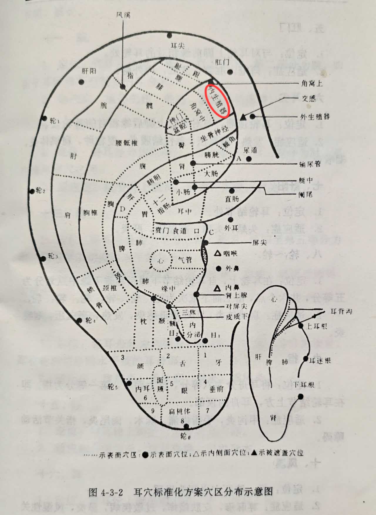 39d6053660aba2f08931ab3936d99b8.jpg