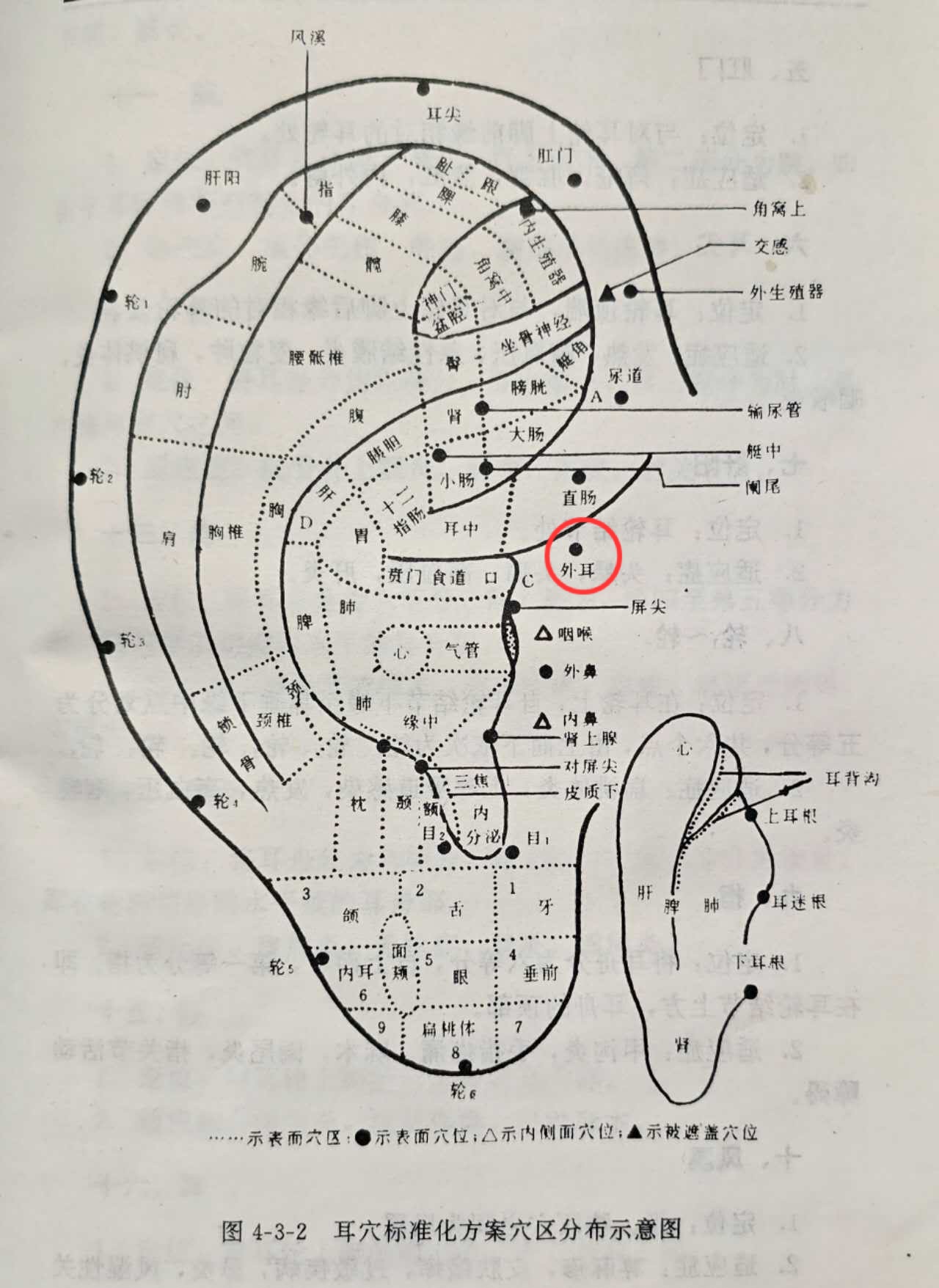 00a576ae314e2c957b1667359d5723a.jpg