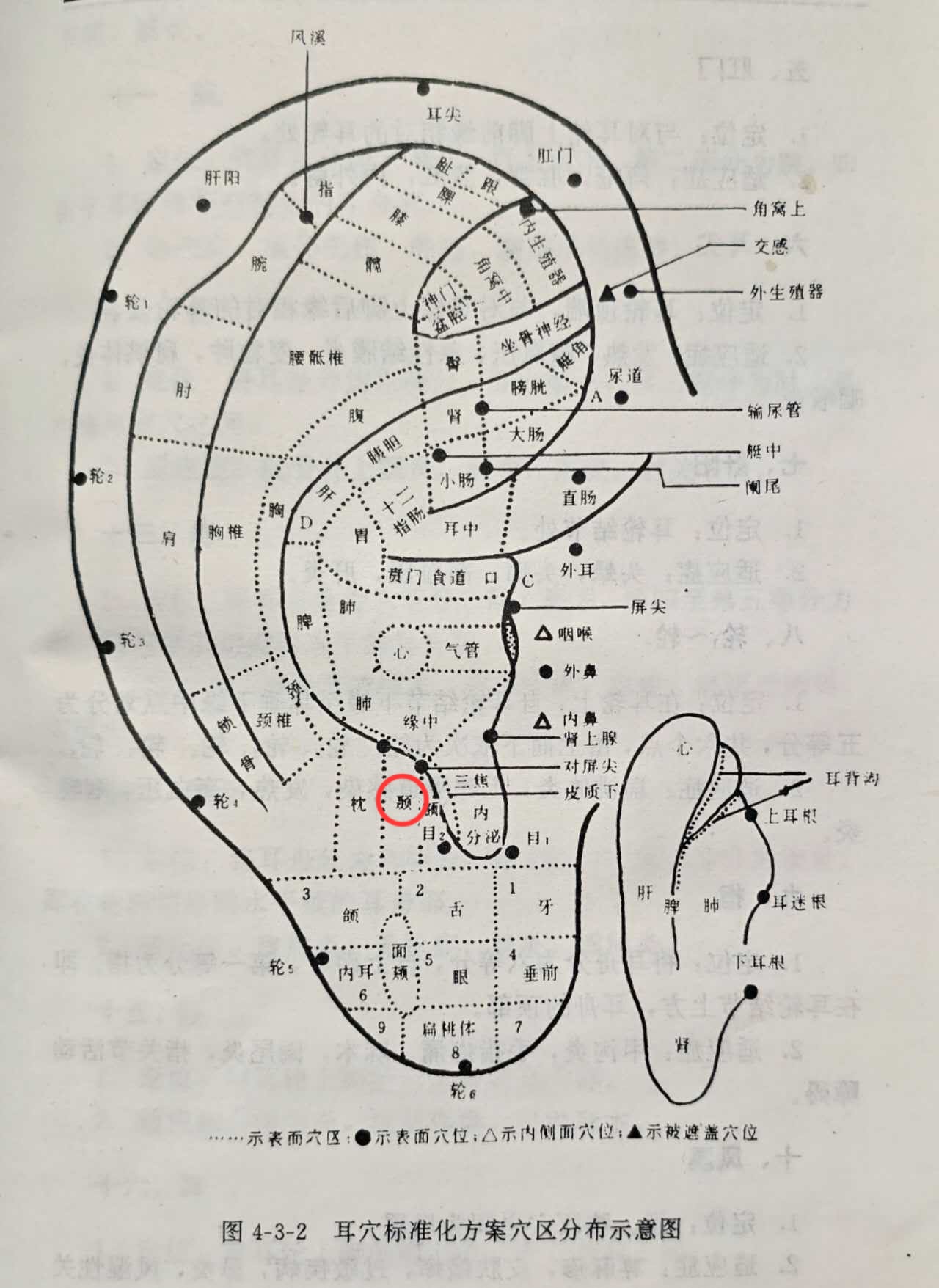 fd50763fd0d8ef9c4c5bfce86510036.jpg