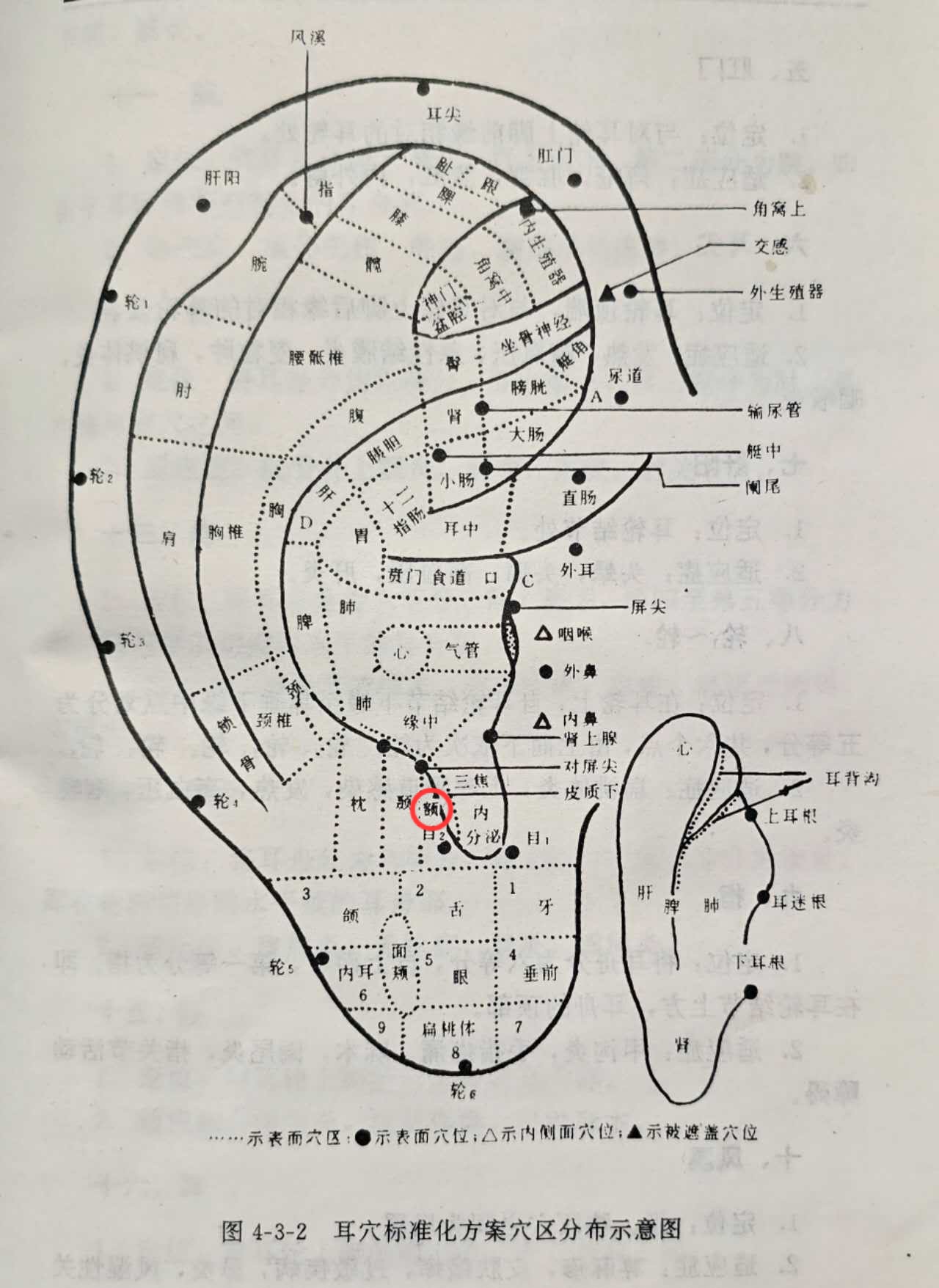 8c493681b1178e4e3a2386be87d50fa.jpg
