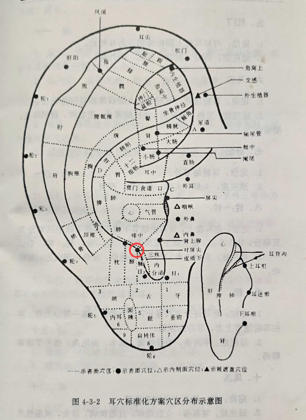 3742b85d7085544d95ad67e267c9899.jpg
