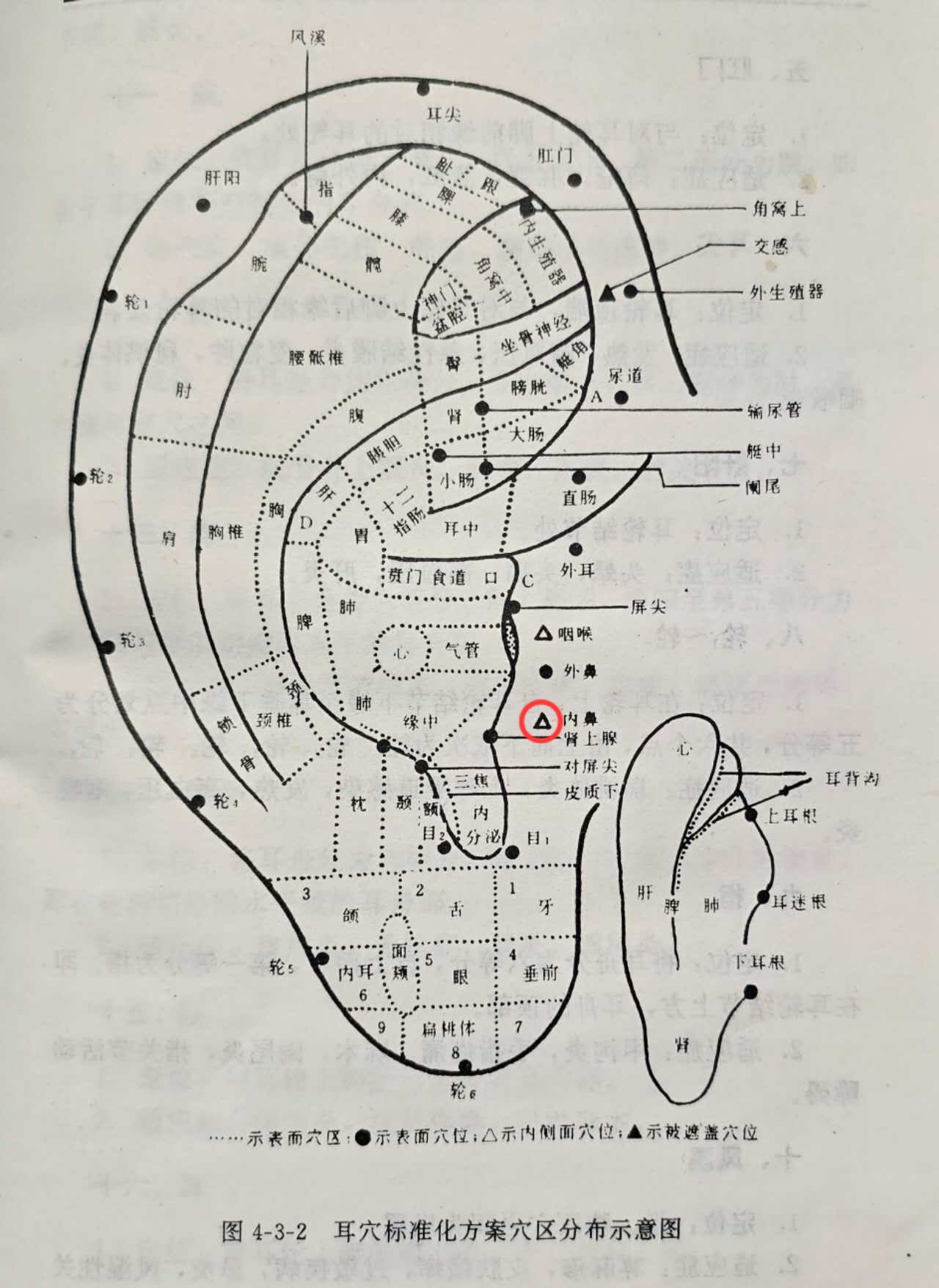231d31bdf565405f660b986398785a3.jpg