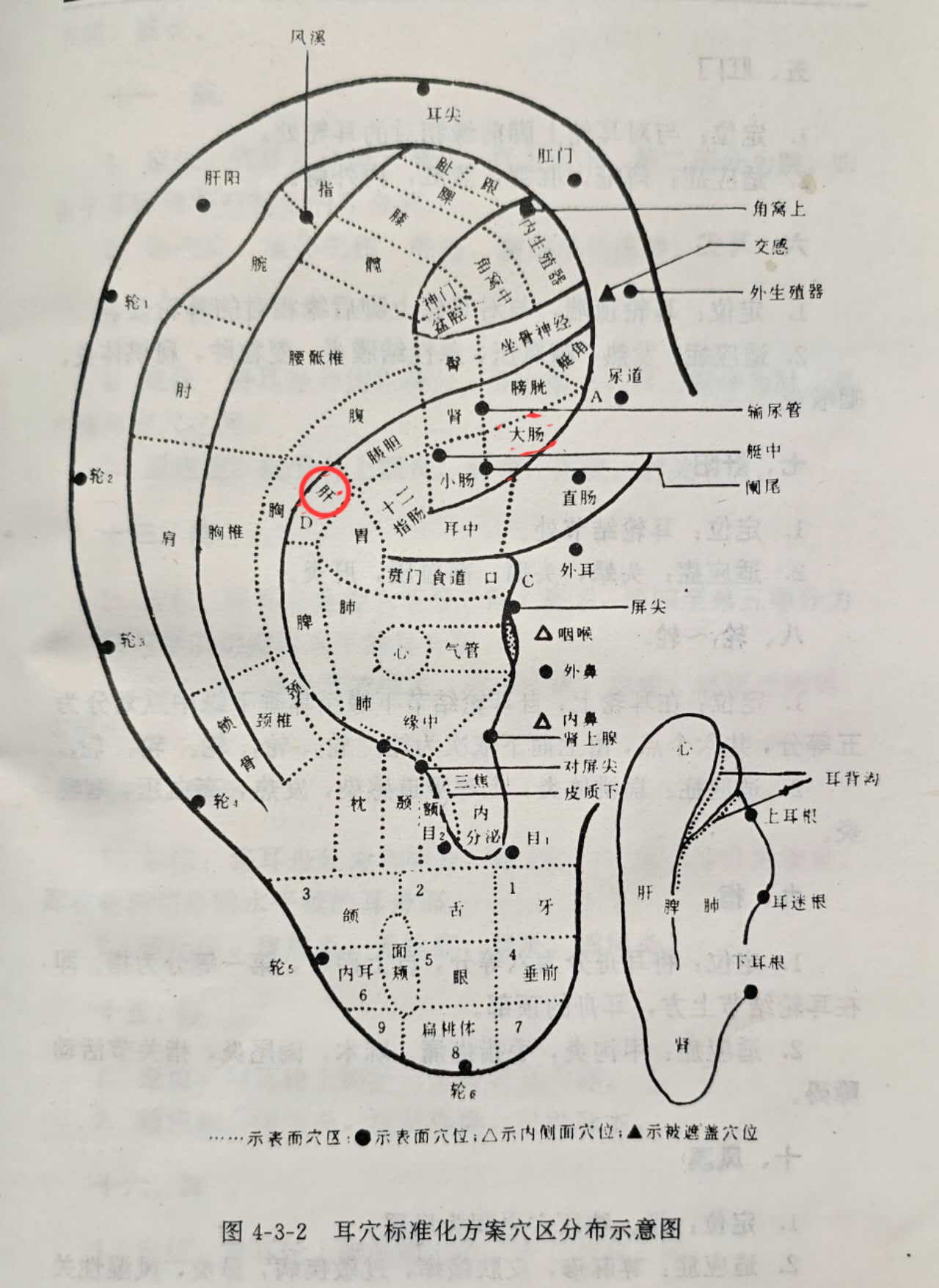 08f7750435490db42a330e5a180f3e1.jpg