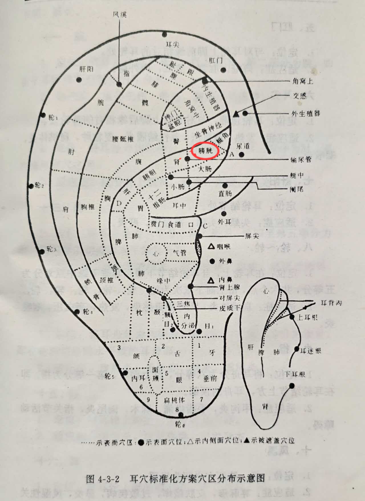 b65c793910e6de5bff47d0f81ffbd07.jpg