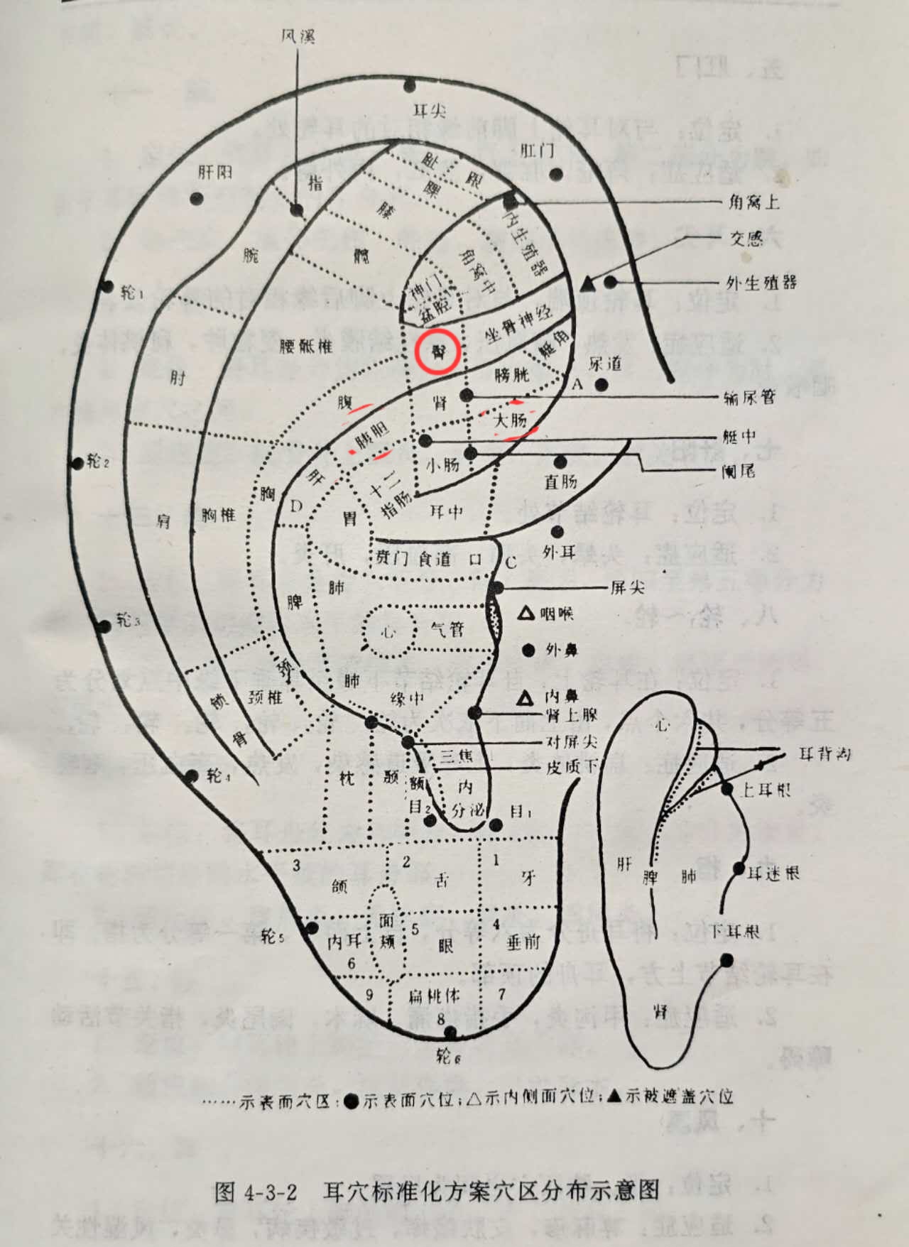 f94159302736ba8d502c42bf73b3887.jpg