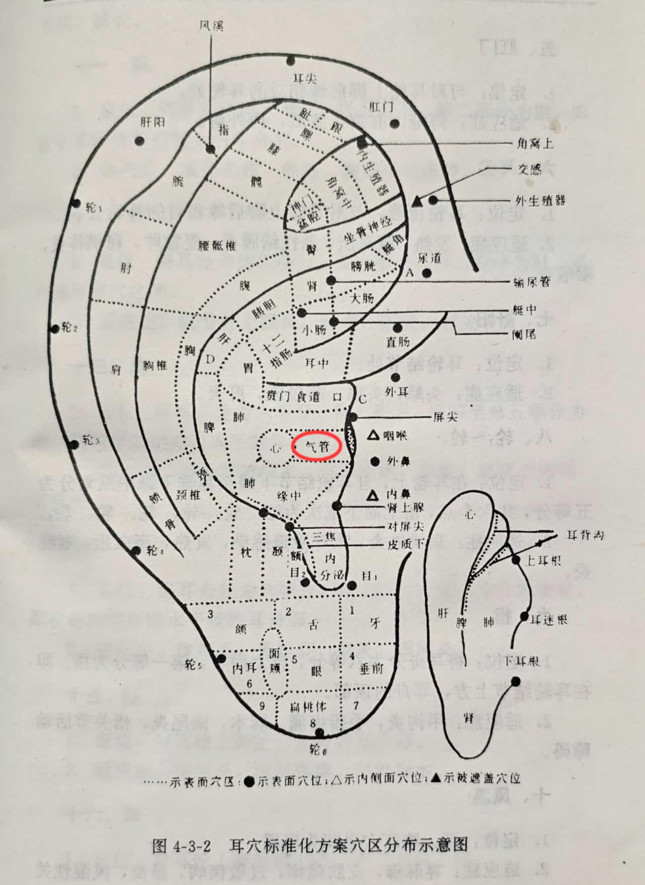 47d1fe9a9a776b44d2b01fcaa188e70.jpg