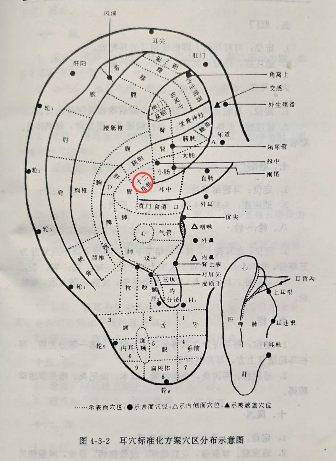 aea7ceaf852f2a899e3d42883ff1321.jpg