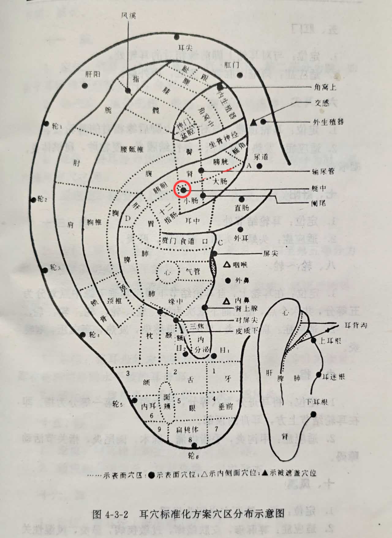 67a5f11e220ede25b590f9de1f39138.jpg