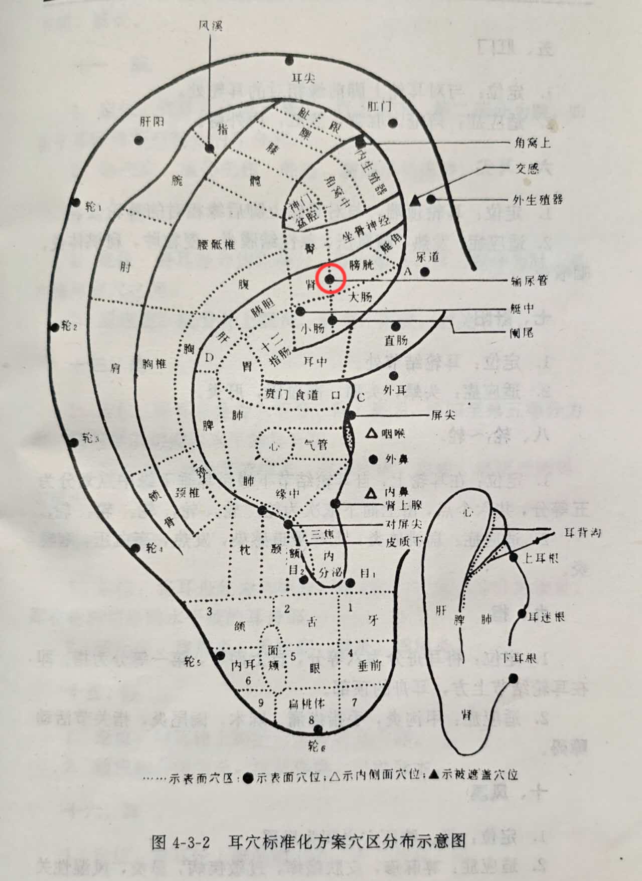 586f65c317f193eb61d54934c3689d0.jpg