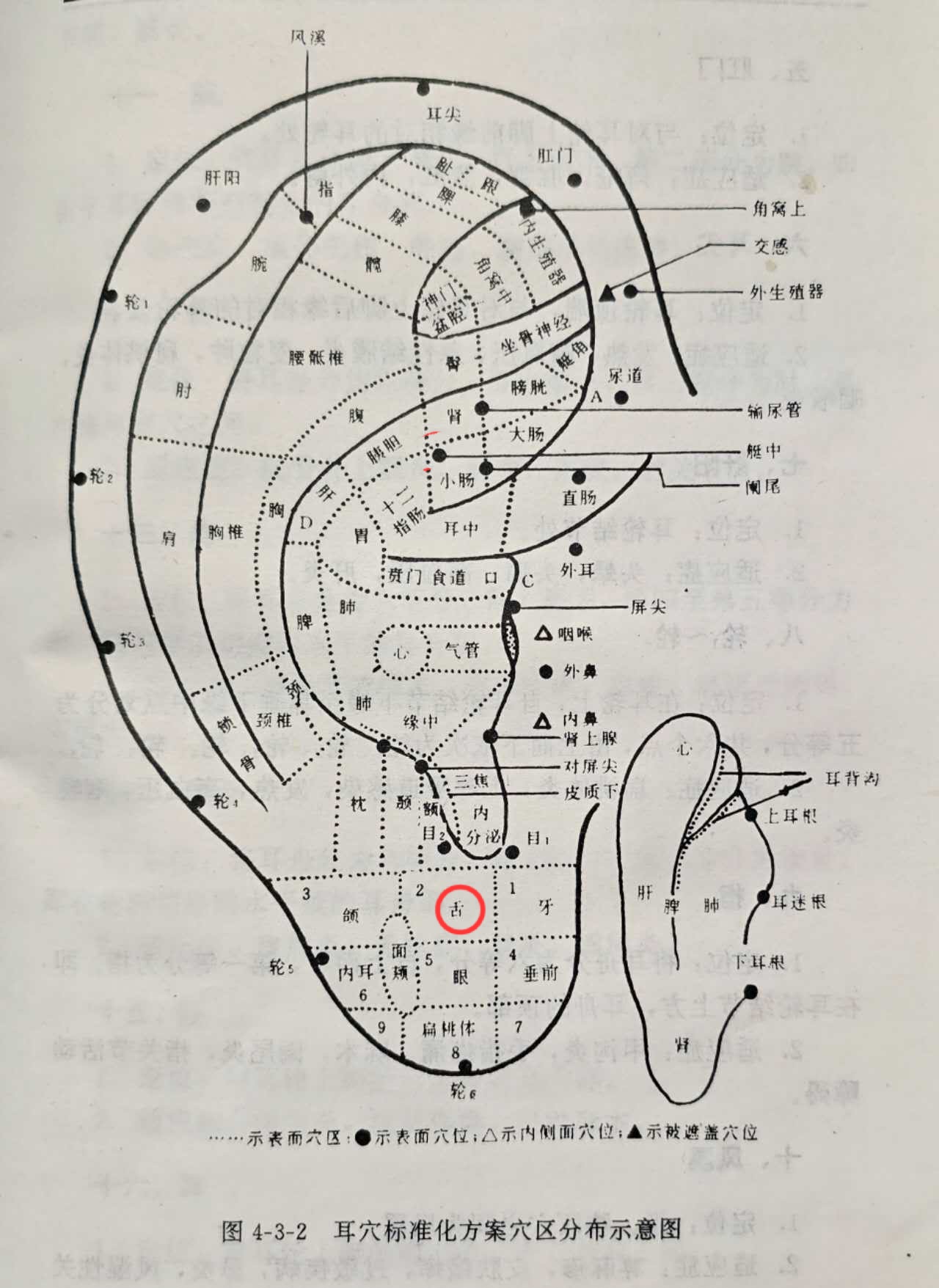 37c0d23e48063f77eb6826f62421d1a.jpg
