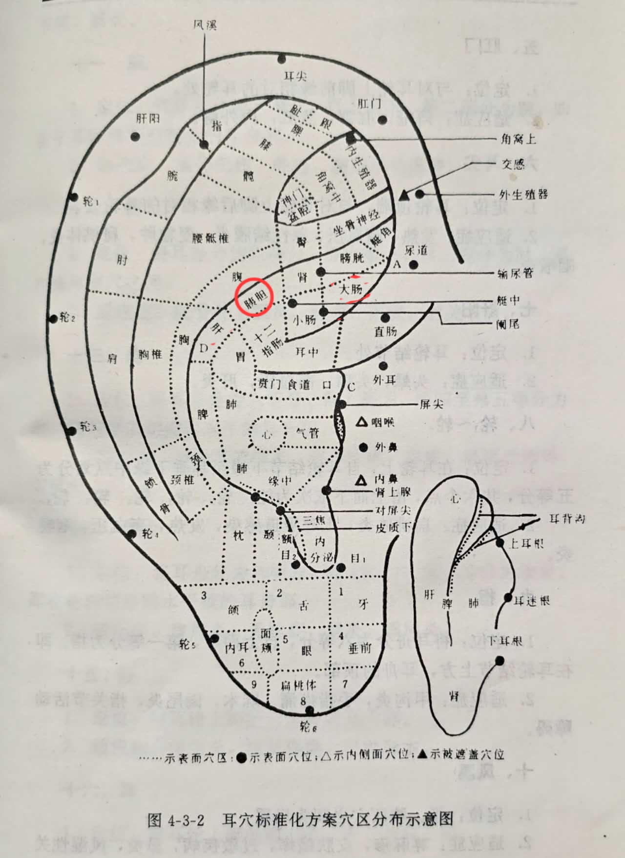 0e0a2b45f41318fe788687c6caf65de.jpg