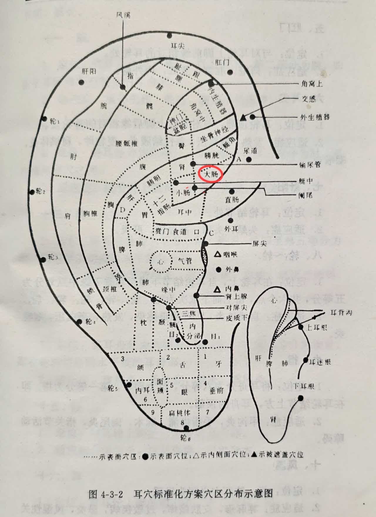 9850a8c1005ff51a0b6b014871e9a20.jpg