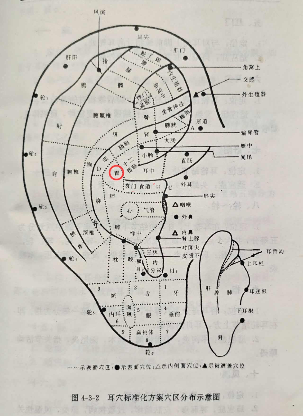 ec959df872f3f39b85728a87265c03c.jpg