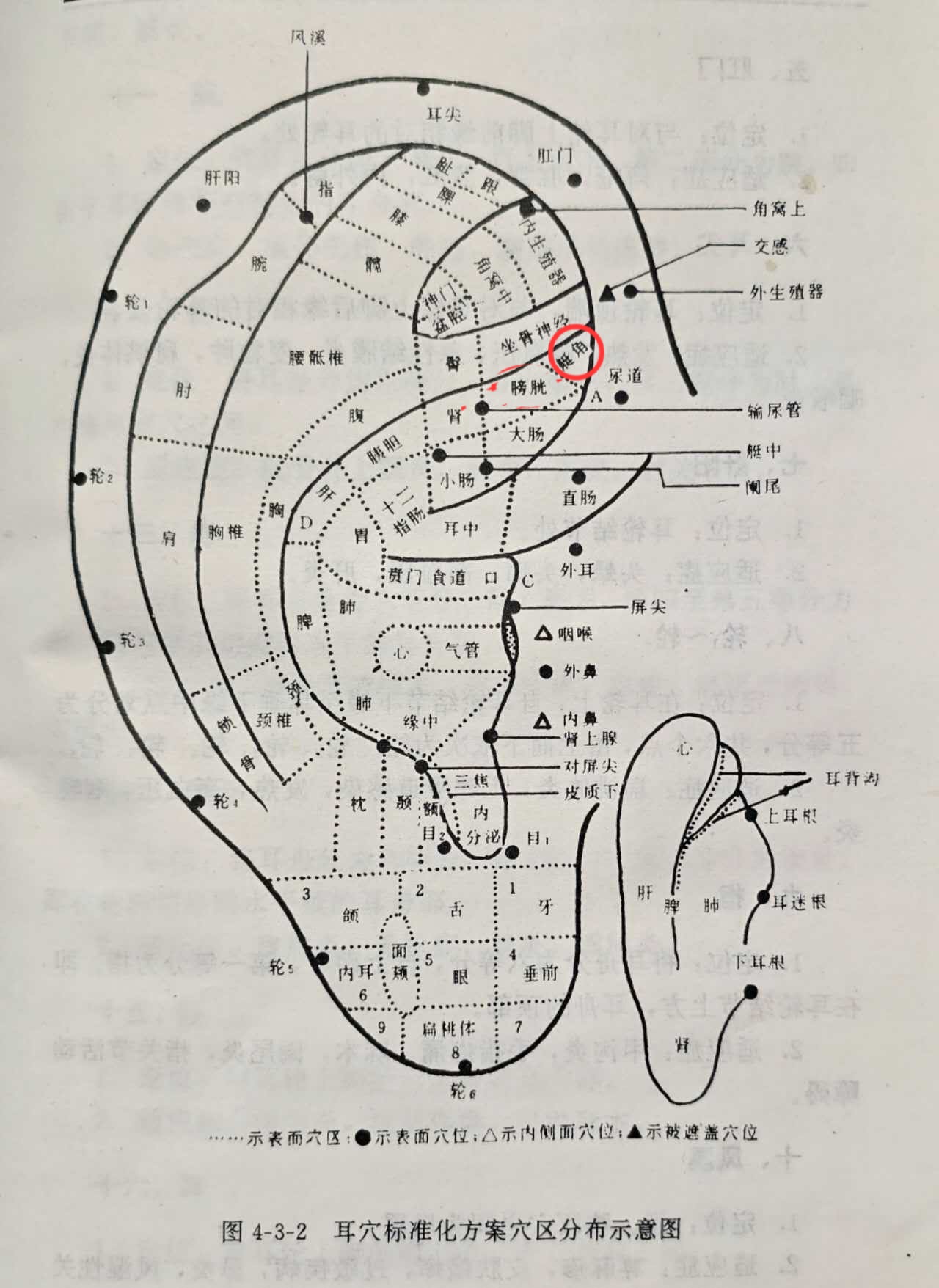 58b89c429f81b9bf9c6cf67432783fa.jpg