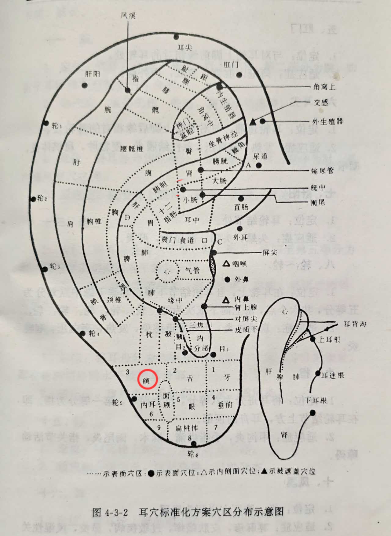 f0ba7fe7b782954de01c9a702eedfae.jpg