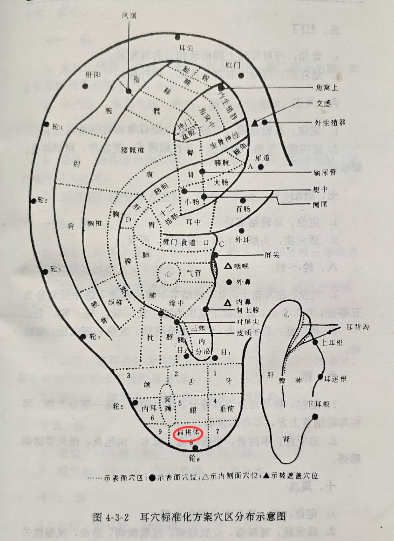 7b40f9298b5cb74529852de1b3c512e.jpg
