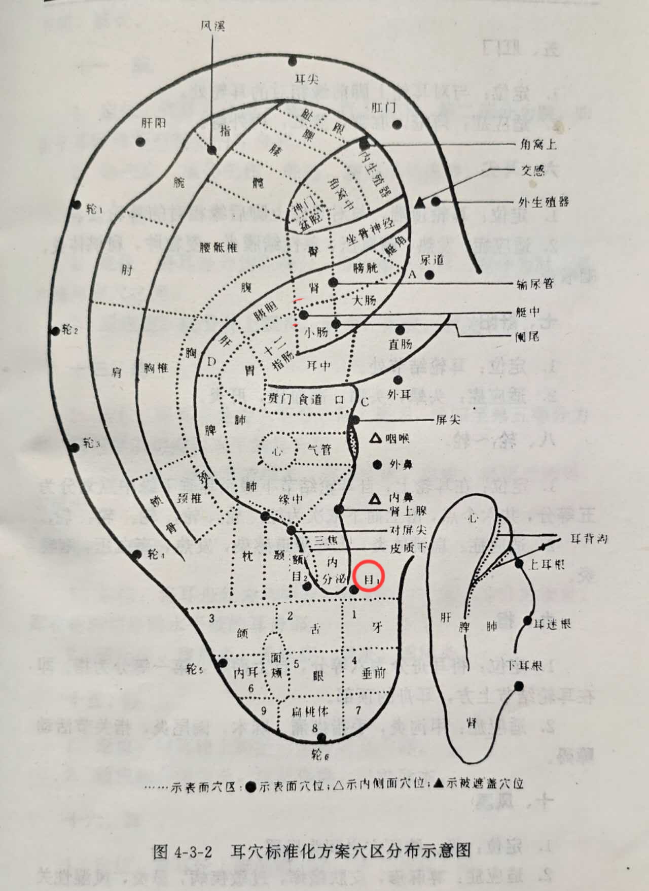 8dde5fdbf1e73c48f635b3039d5d107.jpg