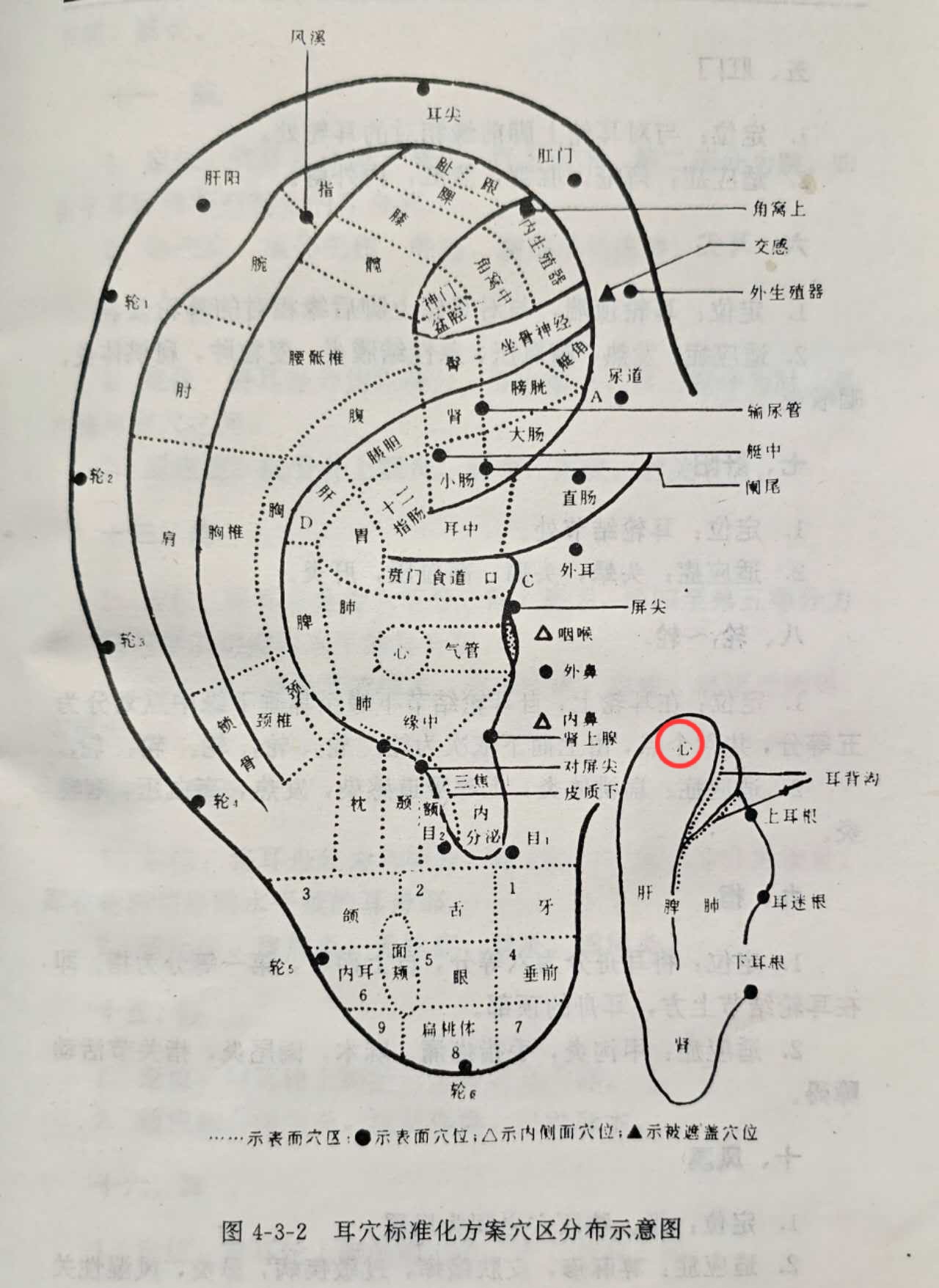 f28834c604264d5925e8ac8c0c440d5.jpg