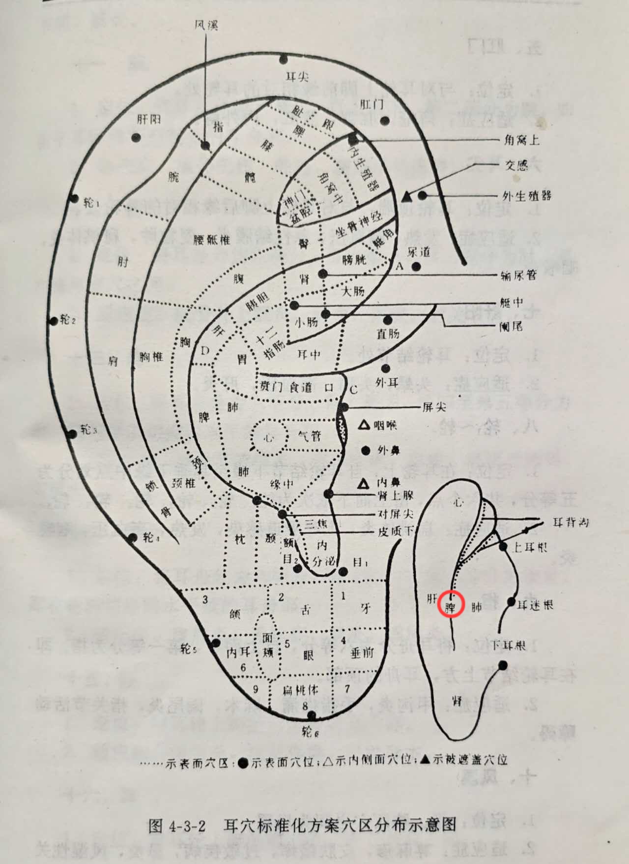 da1aef954ddda5b9025bdaf61651279.jpg