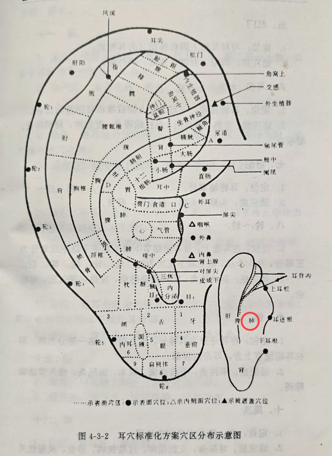 3f98e85b9ac6a82c217289369bf1e7d.jpg