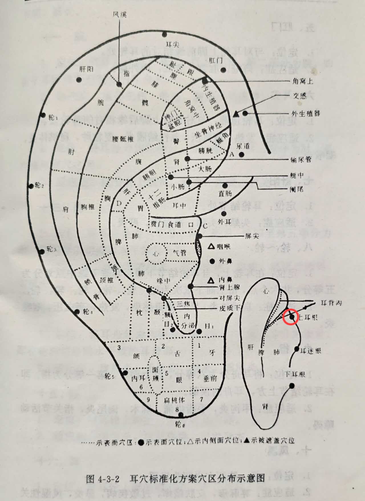 25ee99ffc59566636e624cec38cc83f.jpg