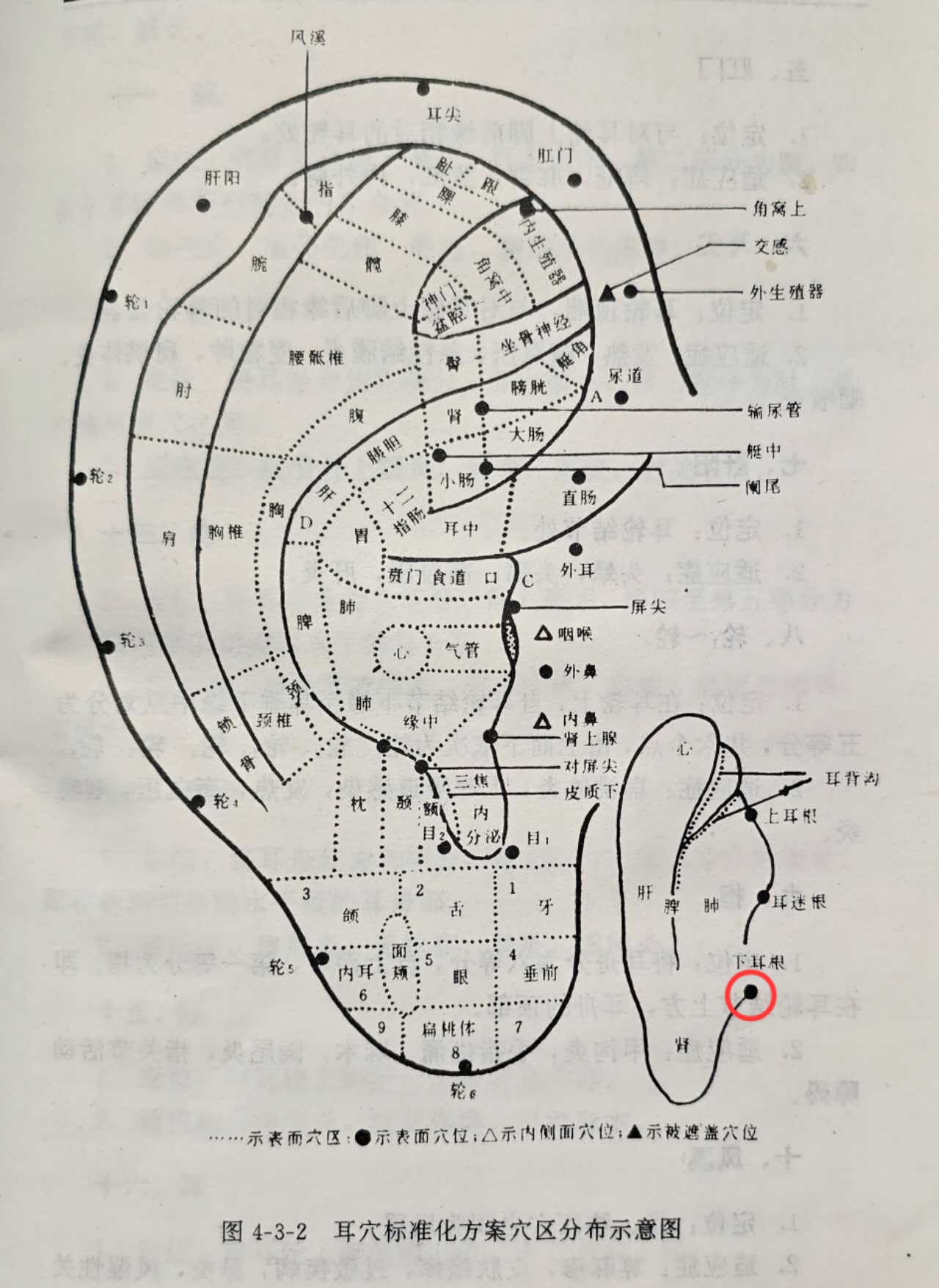1469b35cec07c6b1394a4e40190ebee.jpg