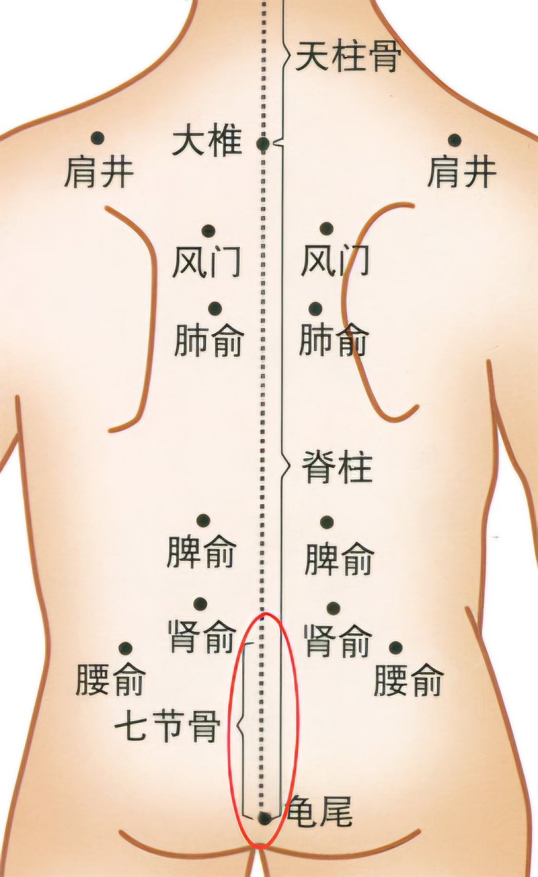 c478c9ad87b6b930e8c358dbbf20afb.jpg