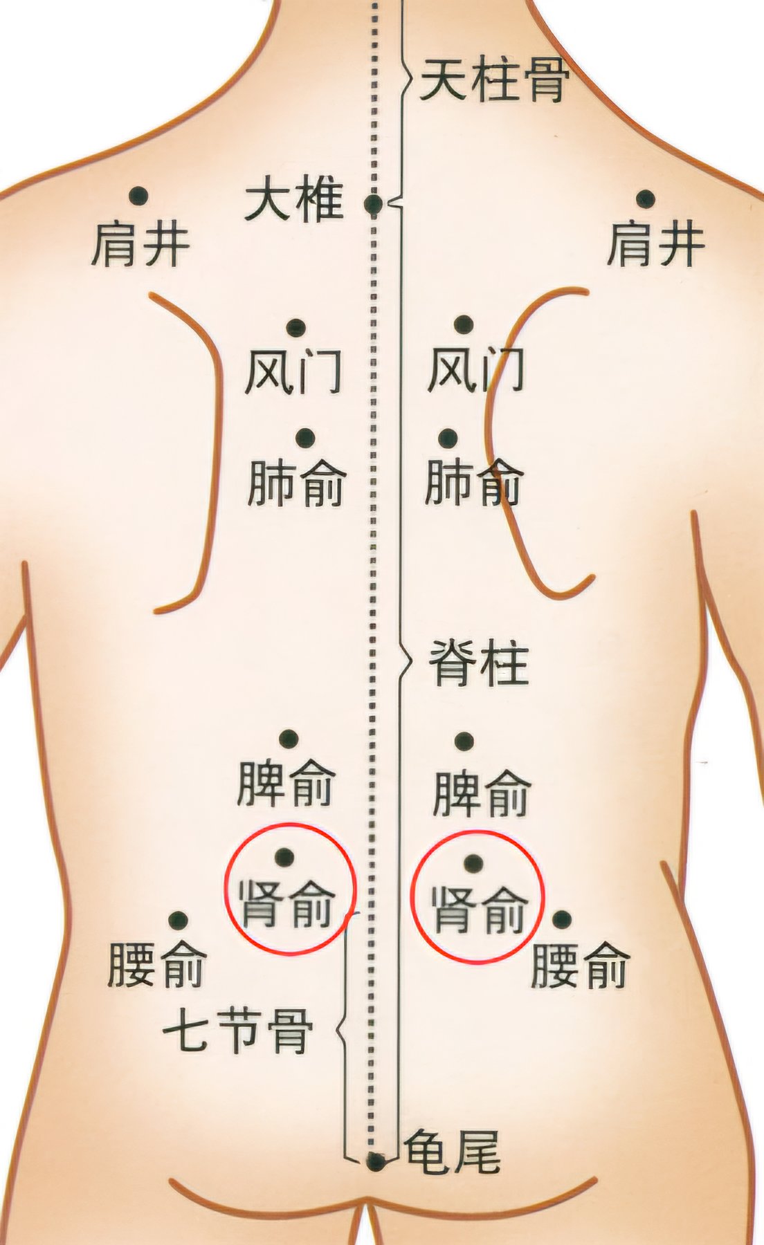 3966c7e128bdb40a8de23e06b90d18c.jpg